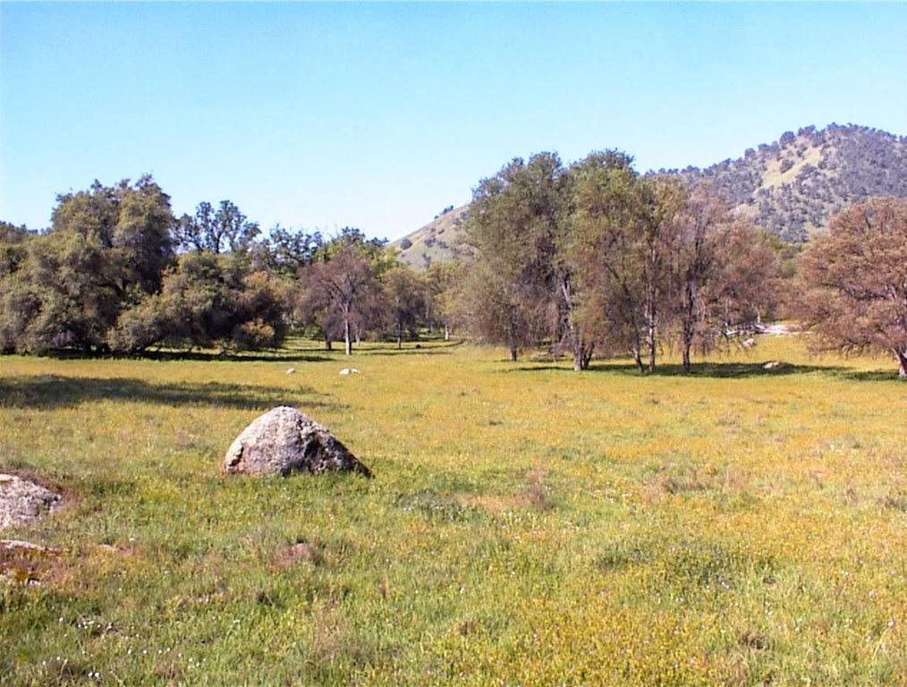 140 Ruth Hill Rd, Dunlap, CA 93621