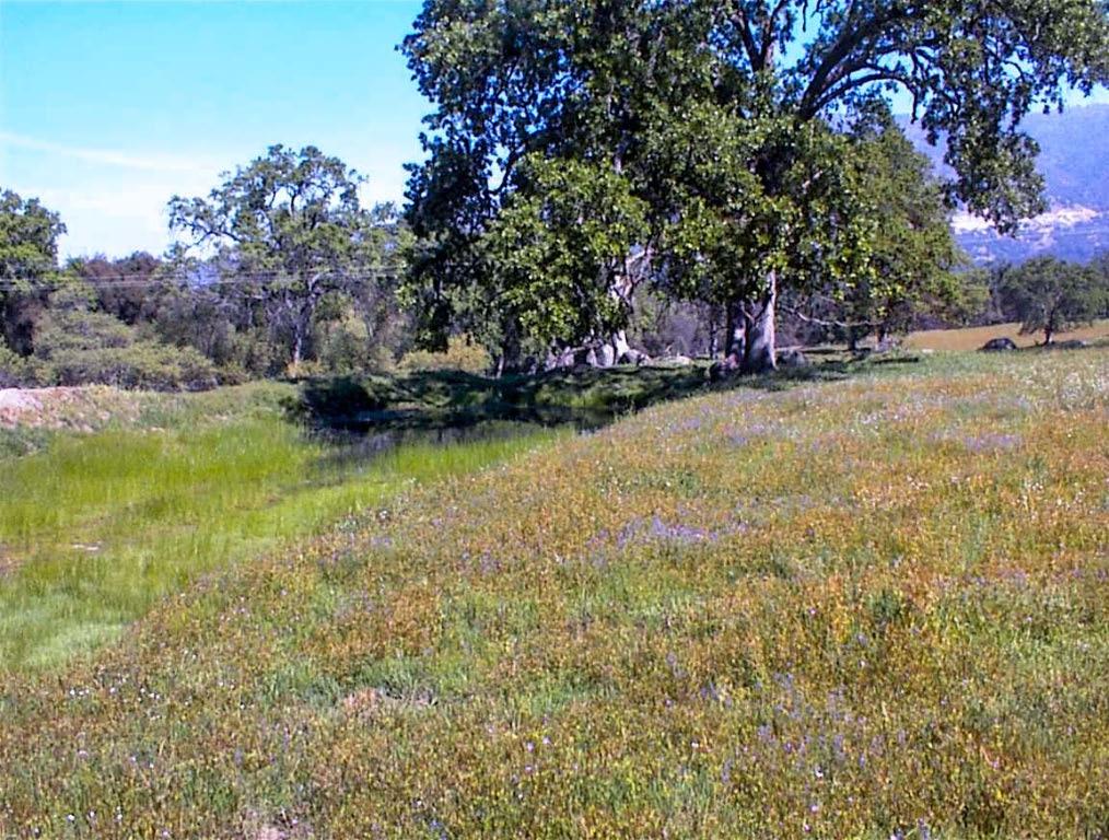 140 Ruth Hill Rd, Dunlap, CA 93621