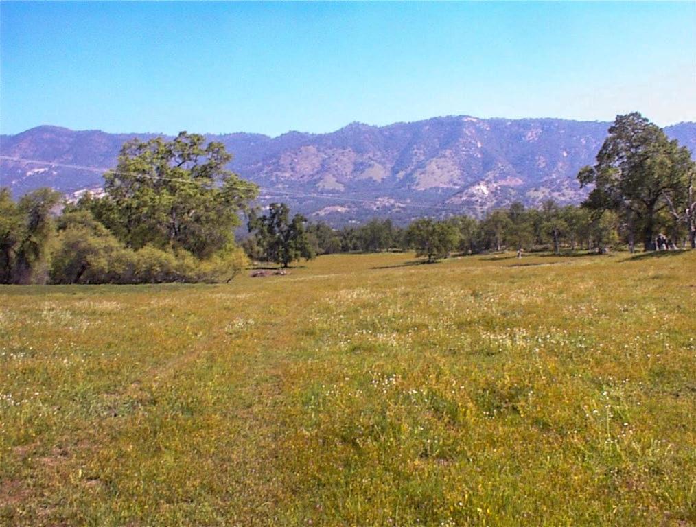 140 Ruth Hill Rd, Dunlap, CA 93621