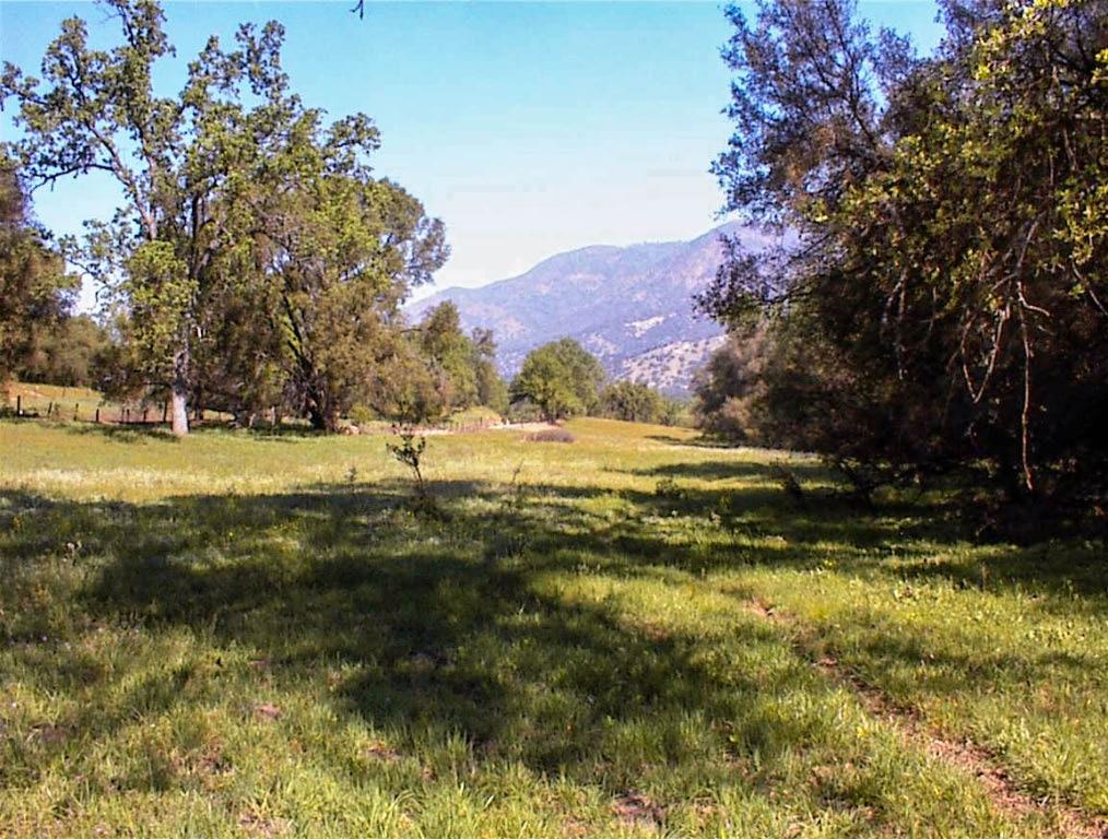 140 Ruth Hill Rd, Dunlap, CA 93621