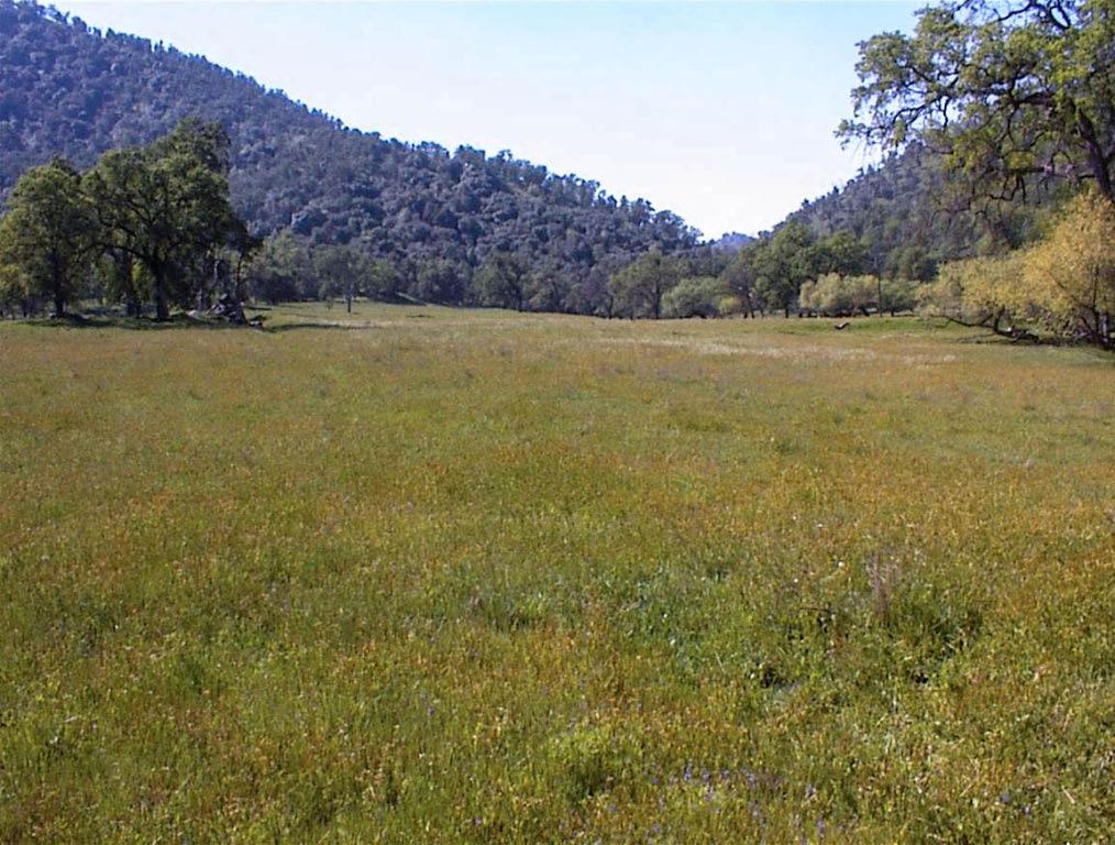 140 Ruth Hill Rd, Dunlap, CA 93621