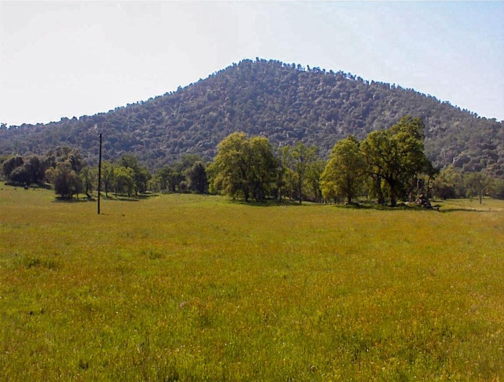 140 Ruth Hill Rd, Dunlap, CA 93621