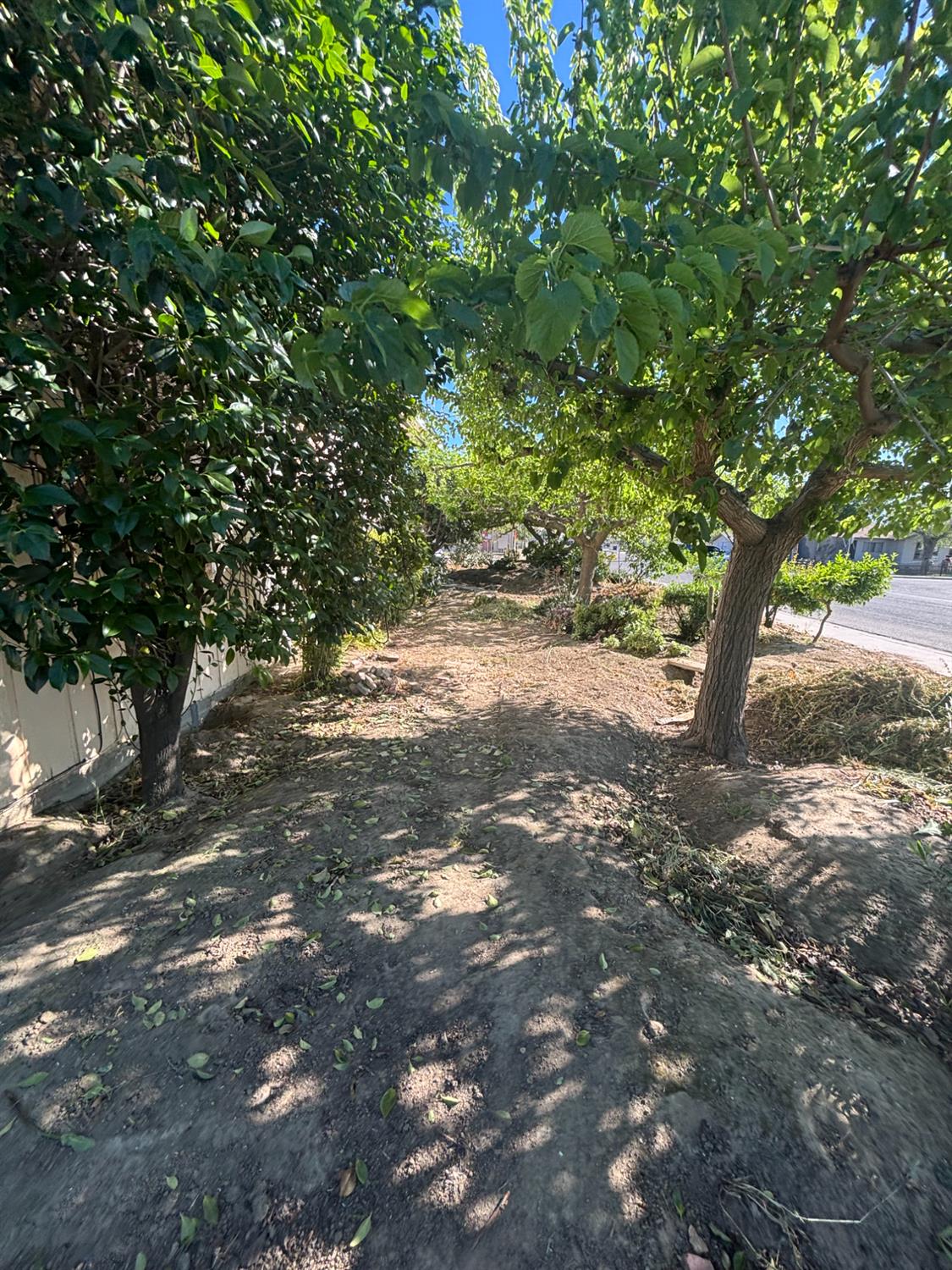 301 E Merced St, Avenal, CA 93204