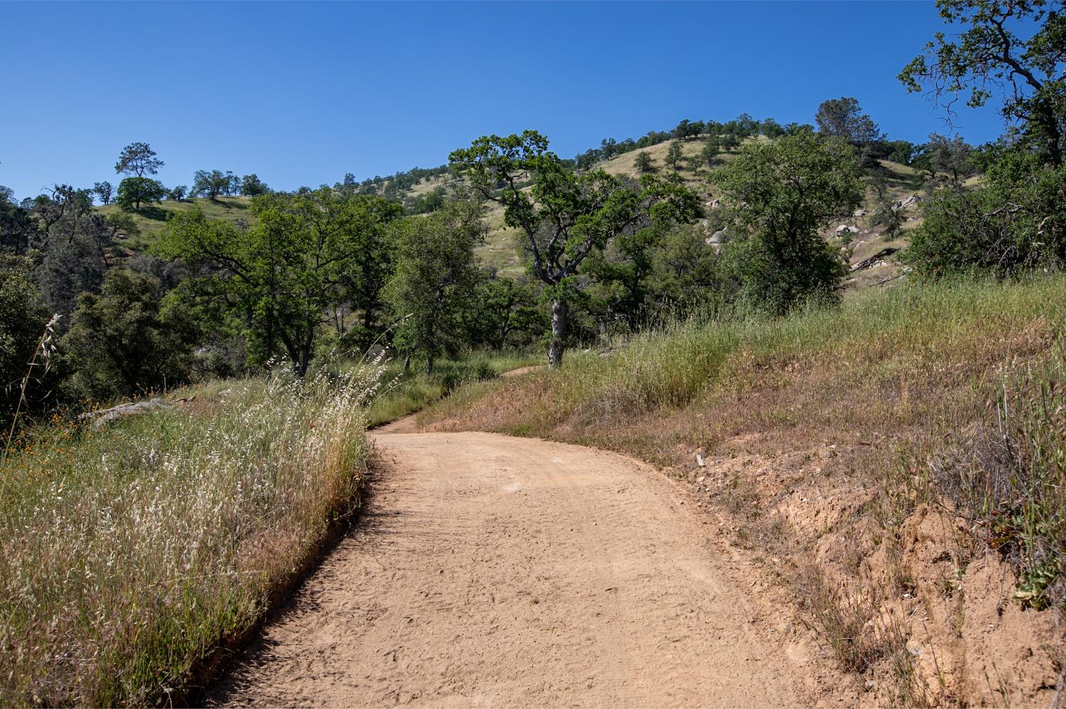 29200 Acorn Ct, Coarsegold, CA 93614