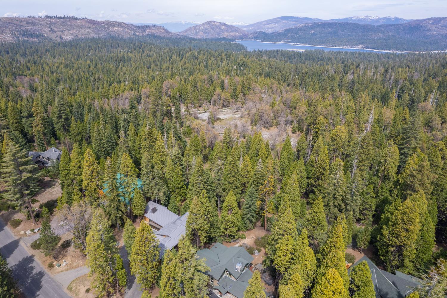 41977 Granite Ridge Rd, Shaver Lake, CA 93664