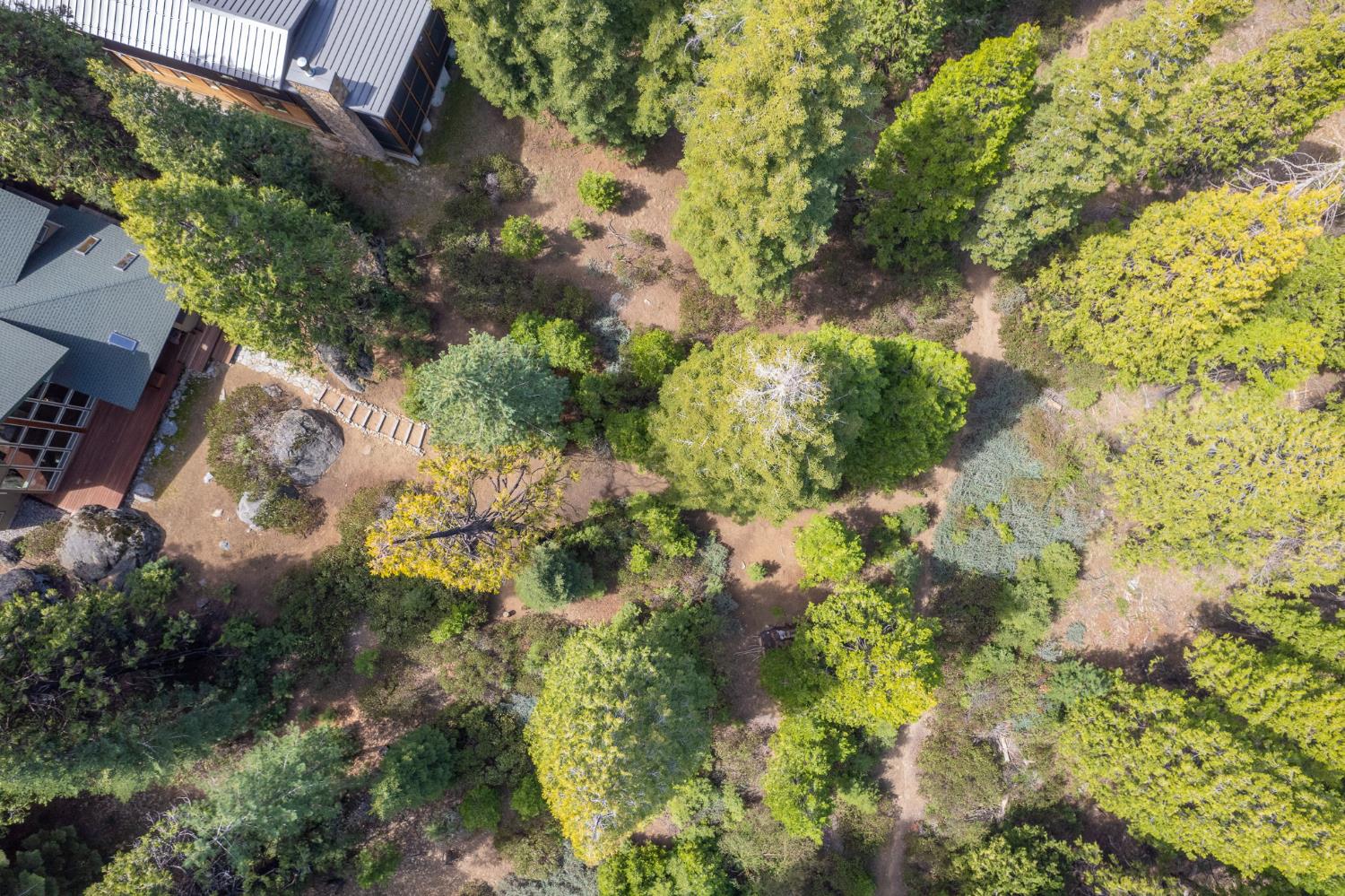 41977 Granite Ridge Rd, Shaver Lake, CA 93664