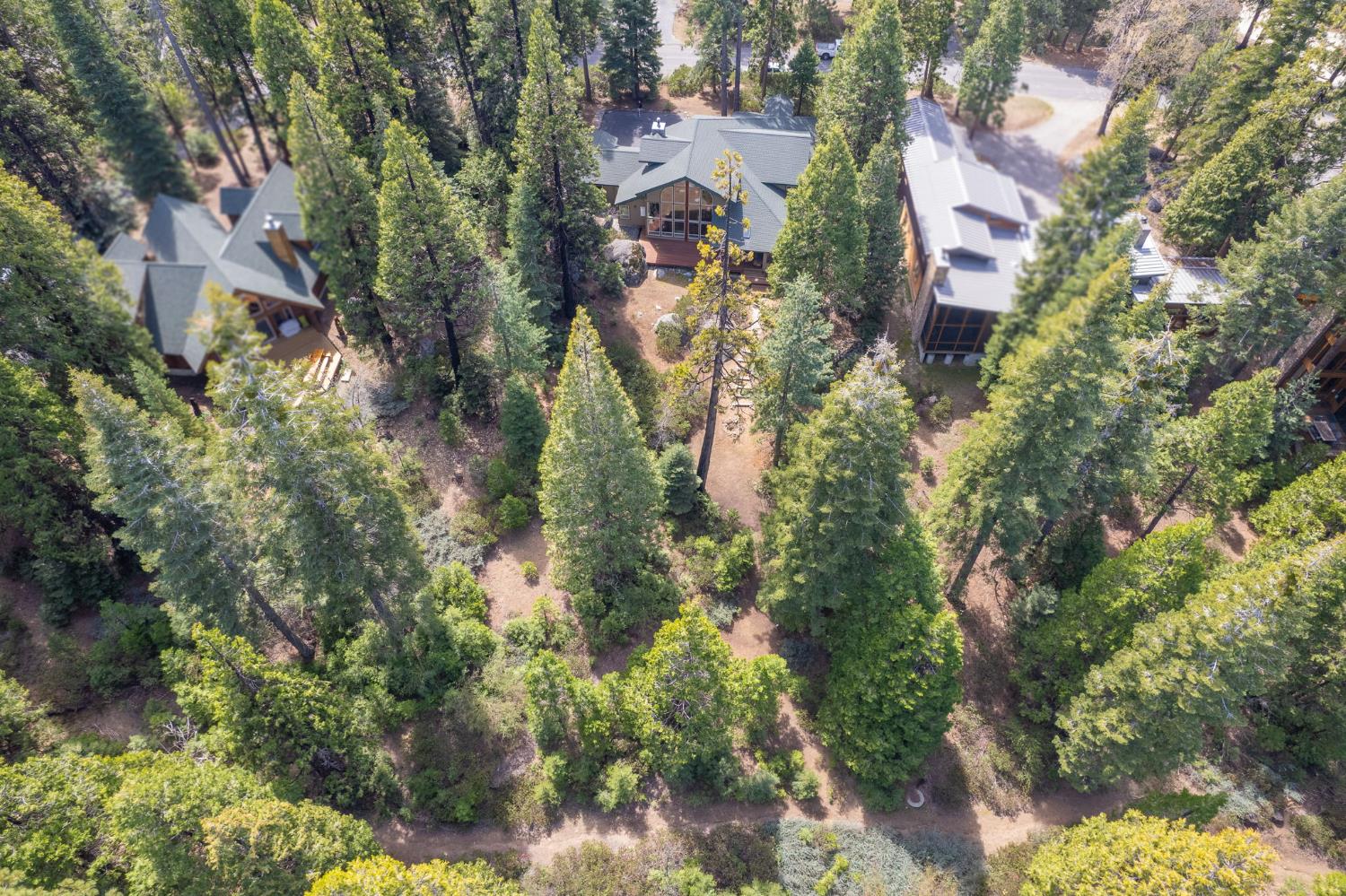 41977 Granite Ridge Rd, Shaver Lake, CA 93664