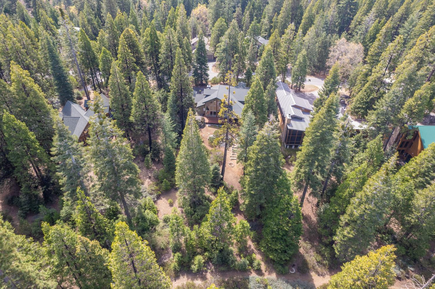41977 Granite Ridge Rd, Shaver Lake, CA 93664