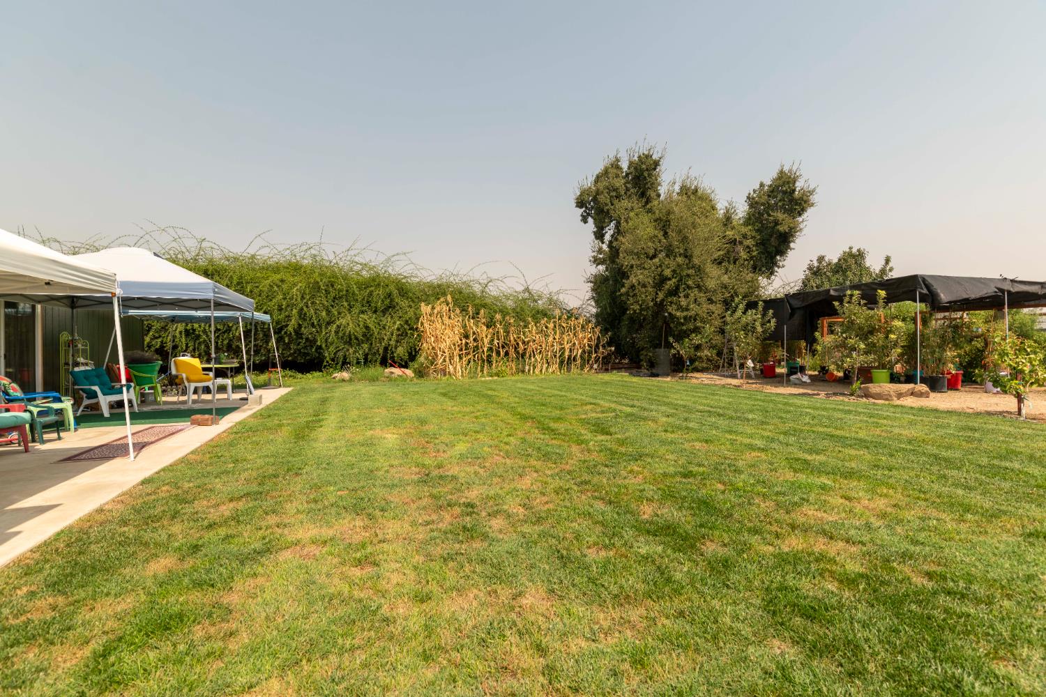 12847 Road 34 1/2, Madera, CA 93636