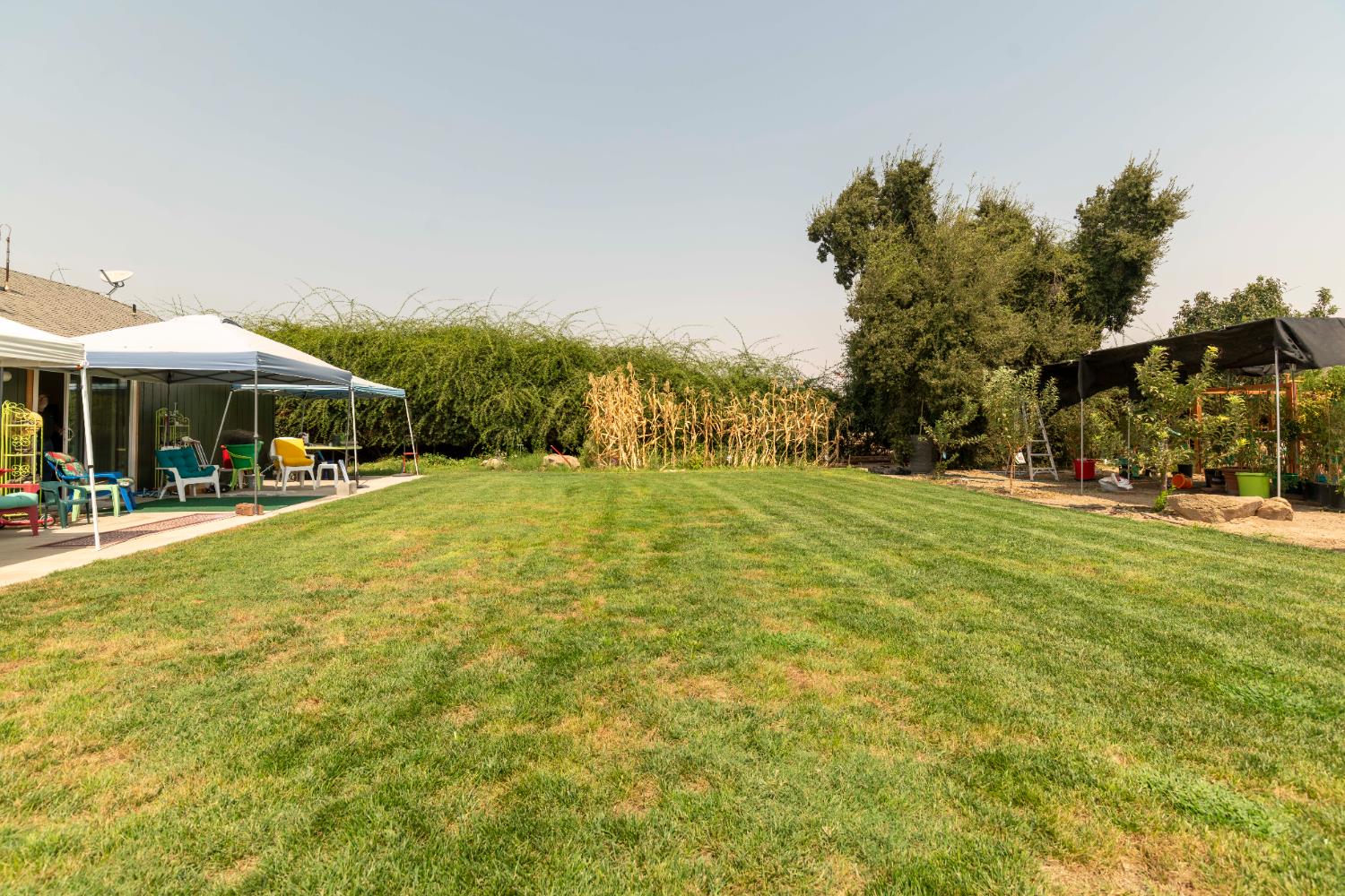 12847 Road 34 1/2, Madera, CA 93636