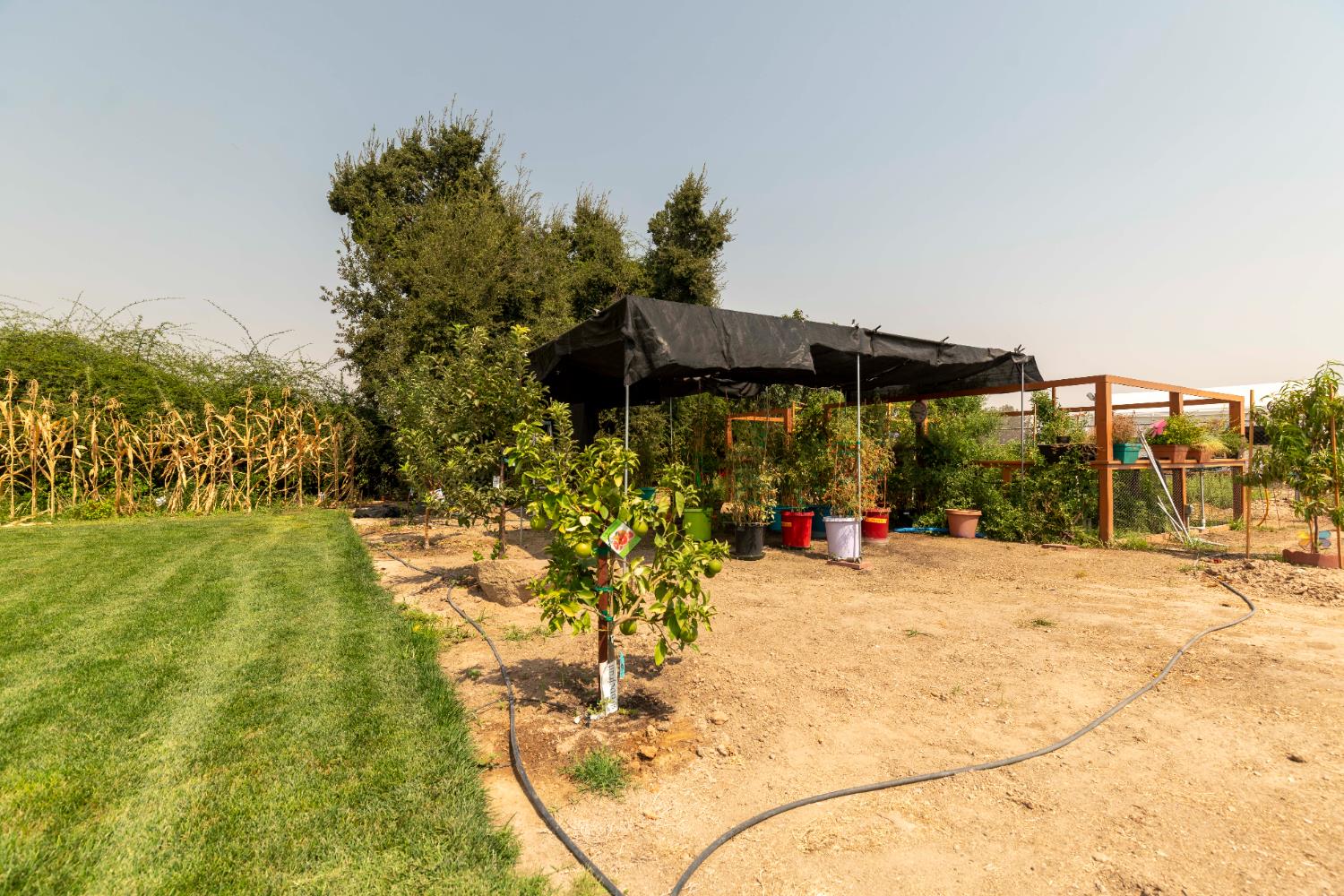 12847 Road 34 1/2, Madera, CA 93636