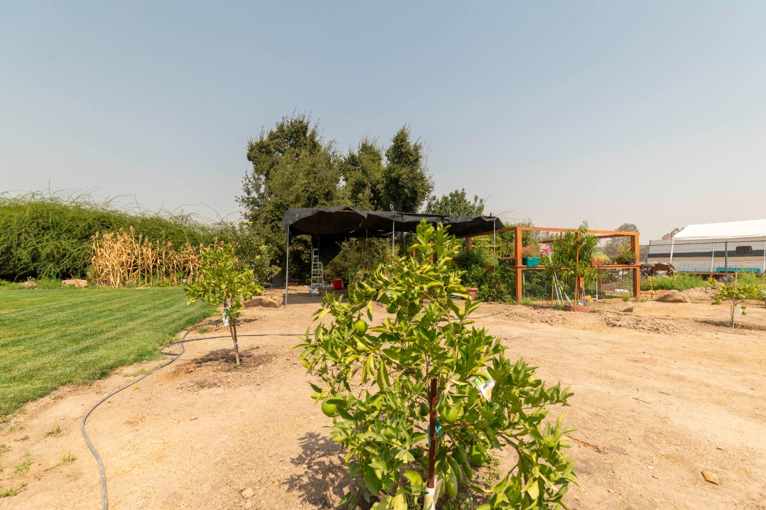 12847 Road 34 1/2, Madera, CA 93636
