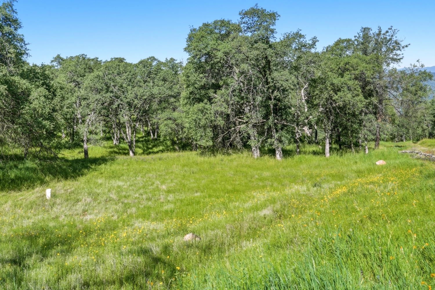 38 City View Dr, Coarsegold, CA 93614