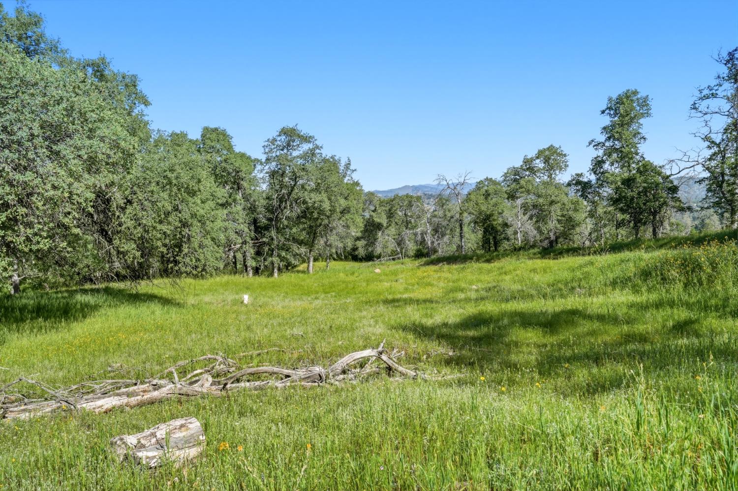 38 City View Dr, Coarsegold, CA 93614