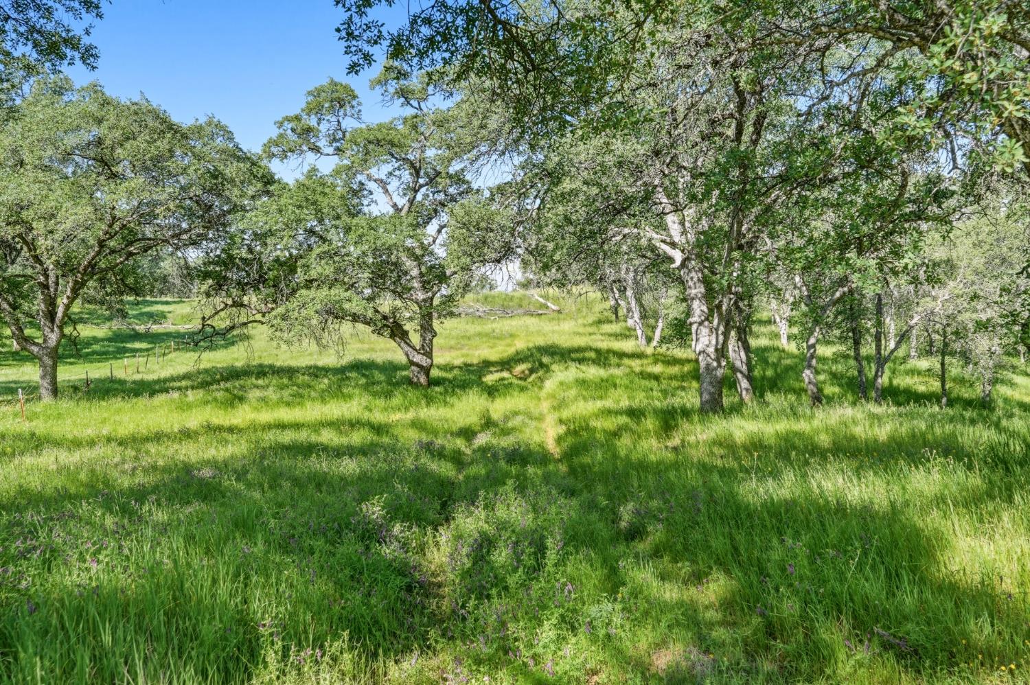 38 City View Dr, Coarsegold, CA 93614