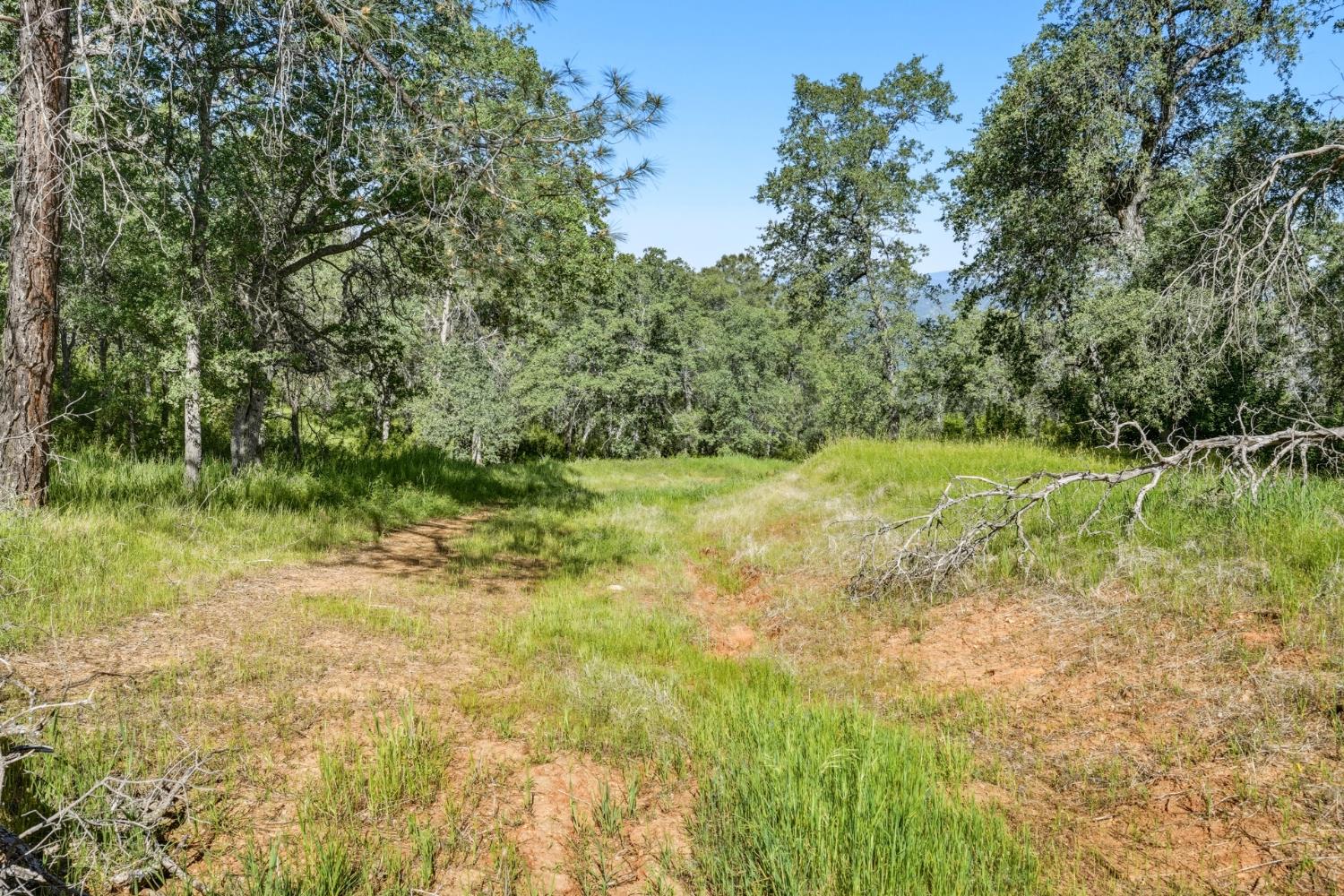 38 City View Dr, Coarsegold, CA 93614