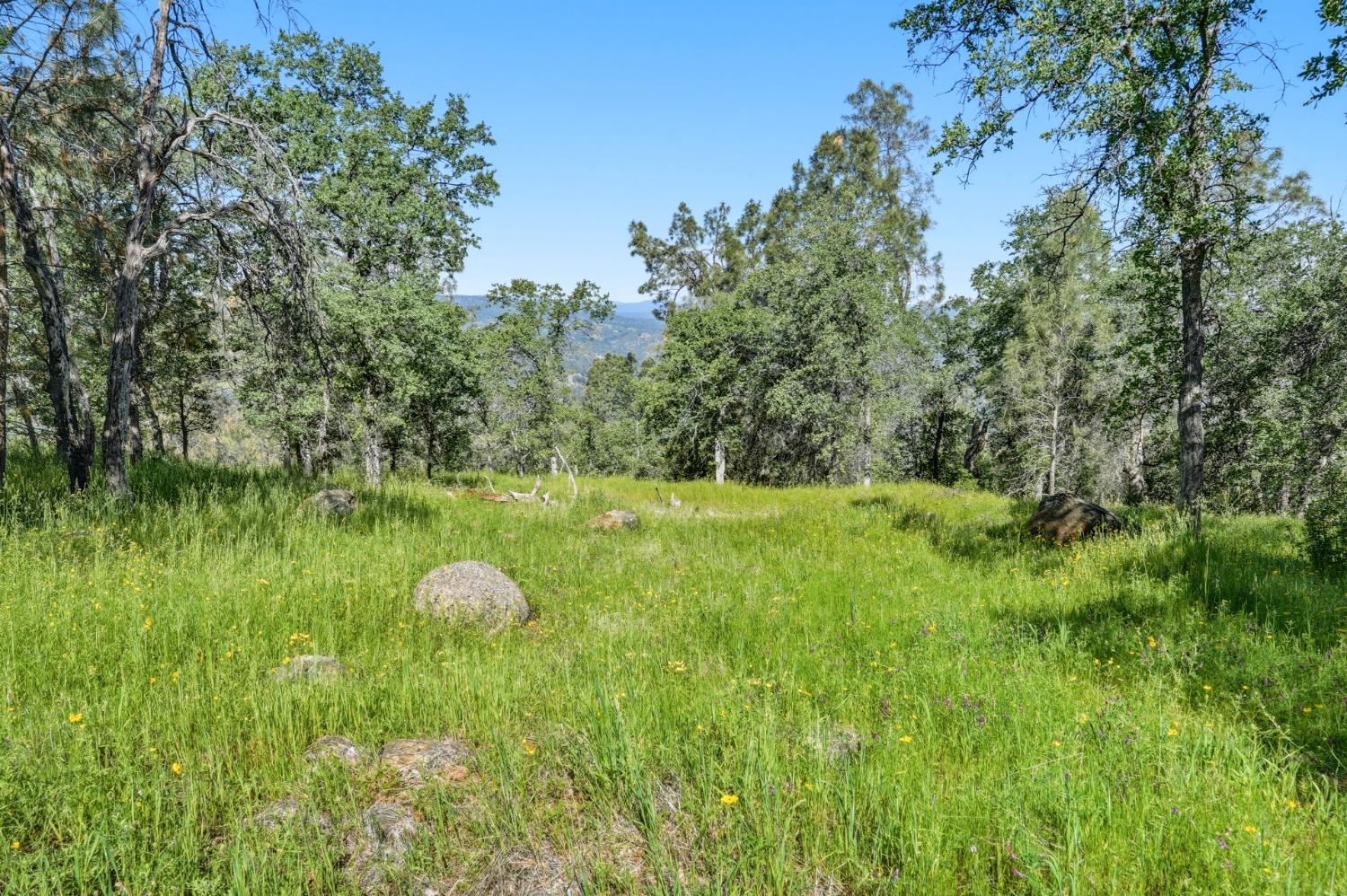 38 City View Dr, Coarsegold, CA 93614