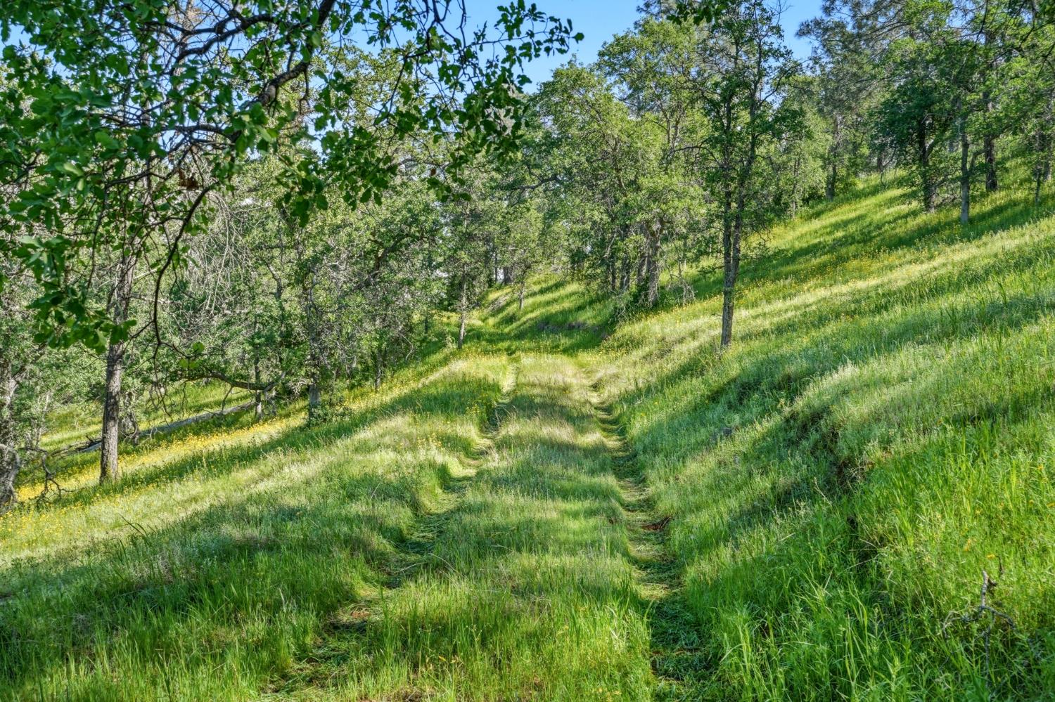 38 City View Dr, Coarsegold, CA 93614