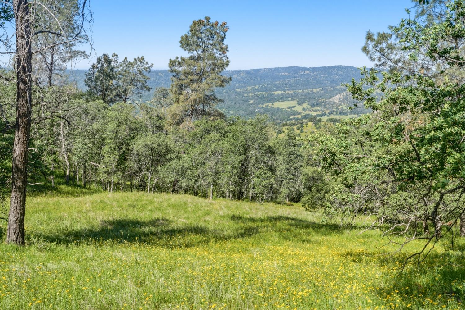 38 City View Dr, Coarsegold, CA 93614