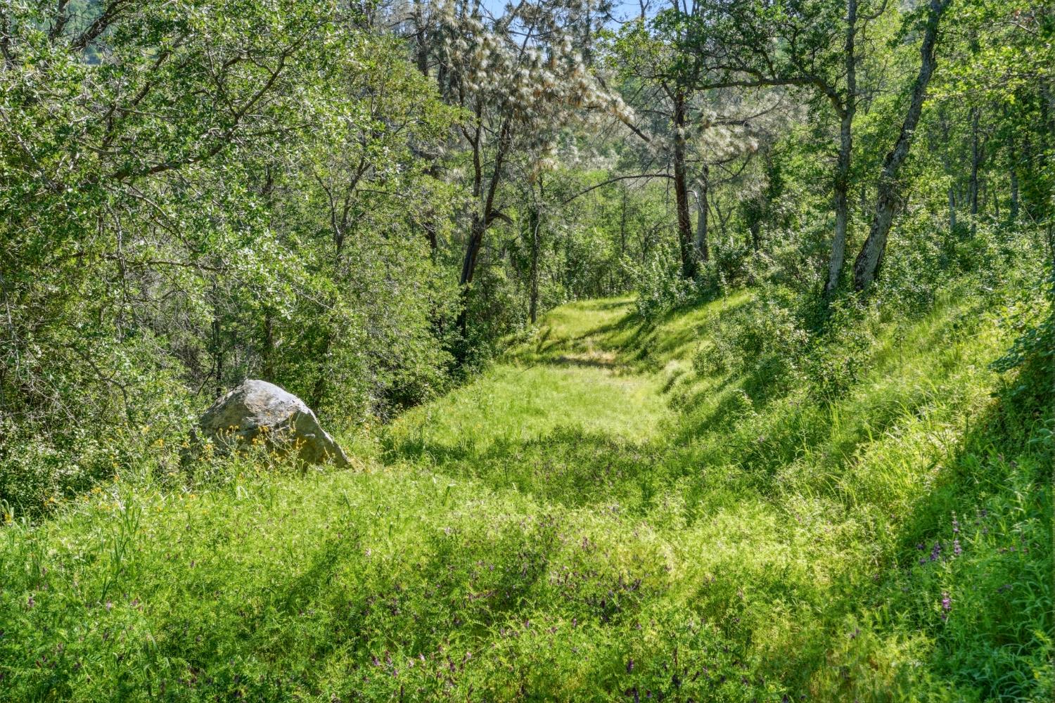 38 City View Dr, Coarsegold, CA 93614