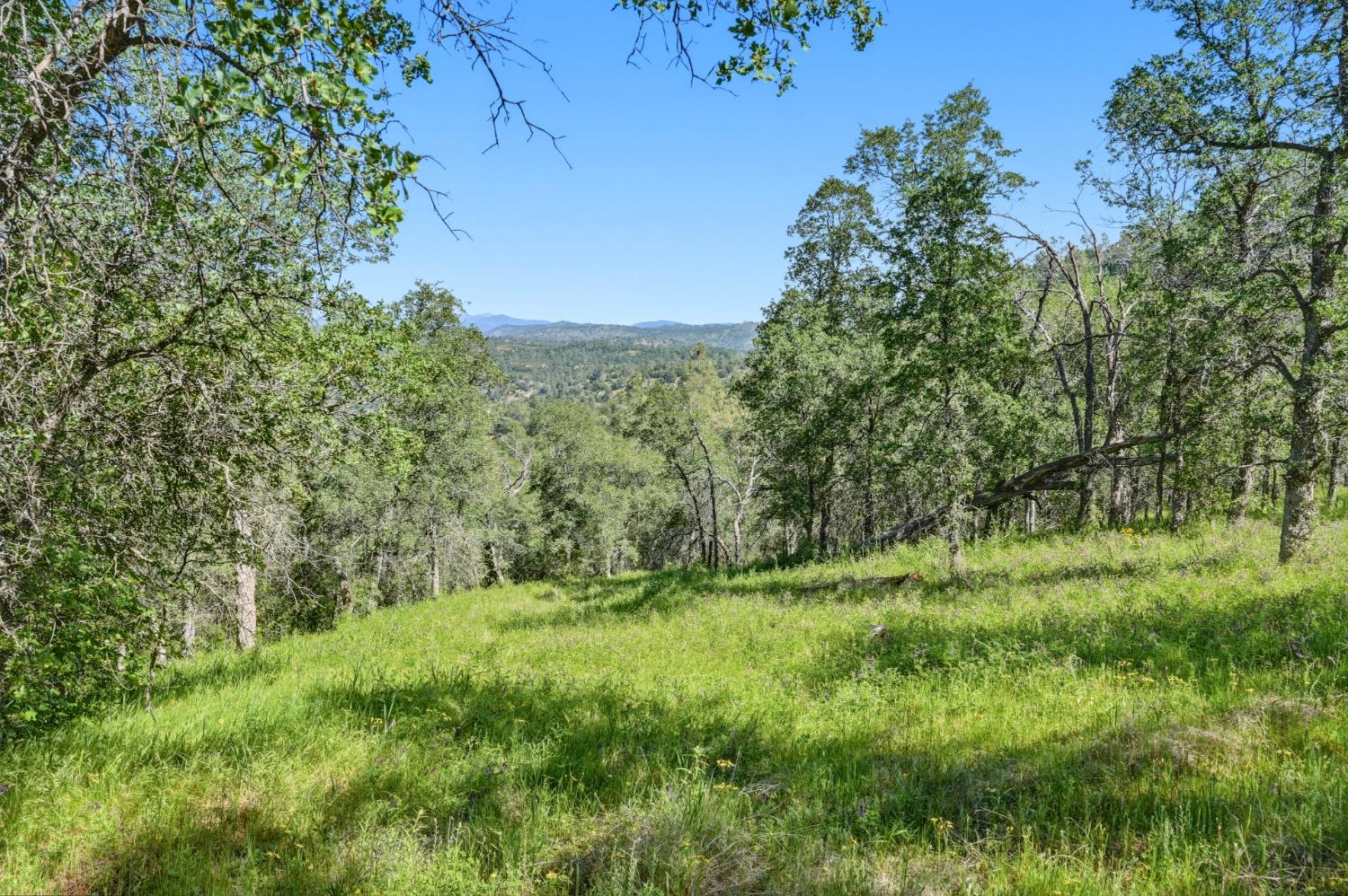 38 City View Dr, Coarsegold, CA 93614