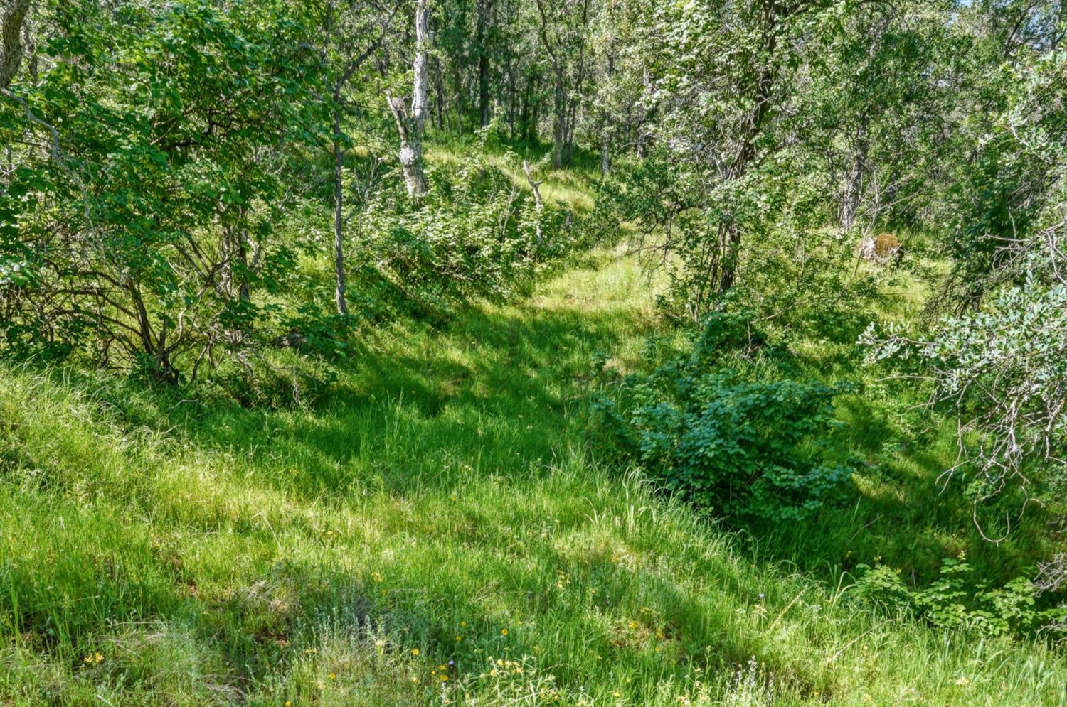 38 City View Dr, Coarsegold, CA 93614