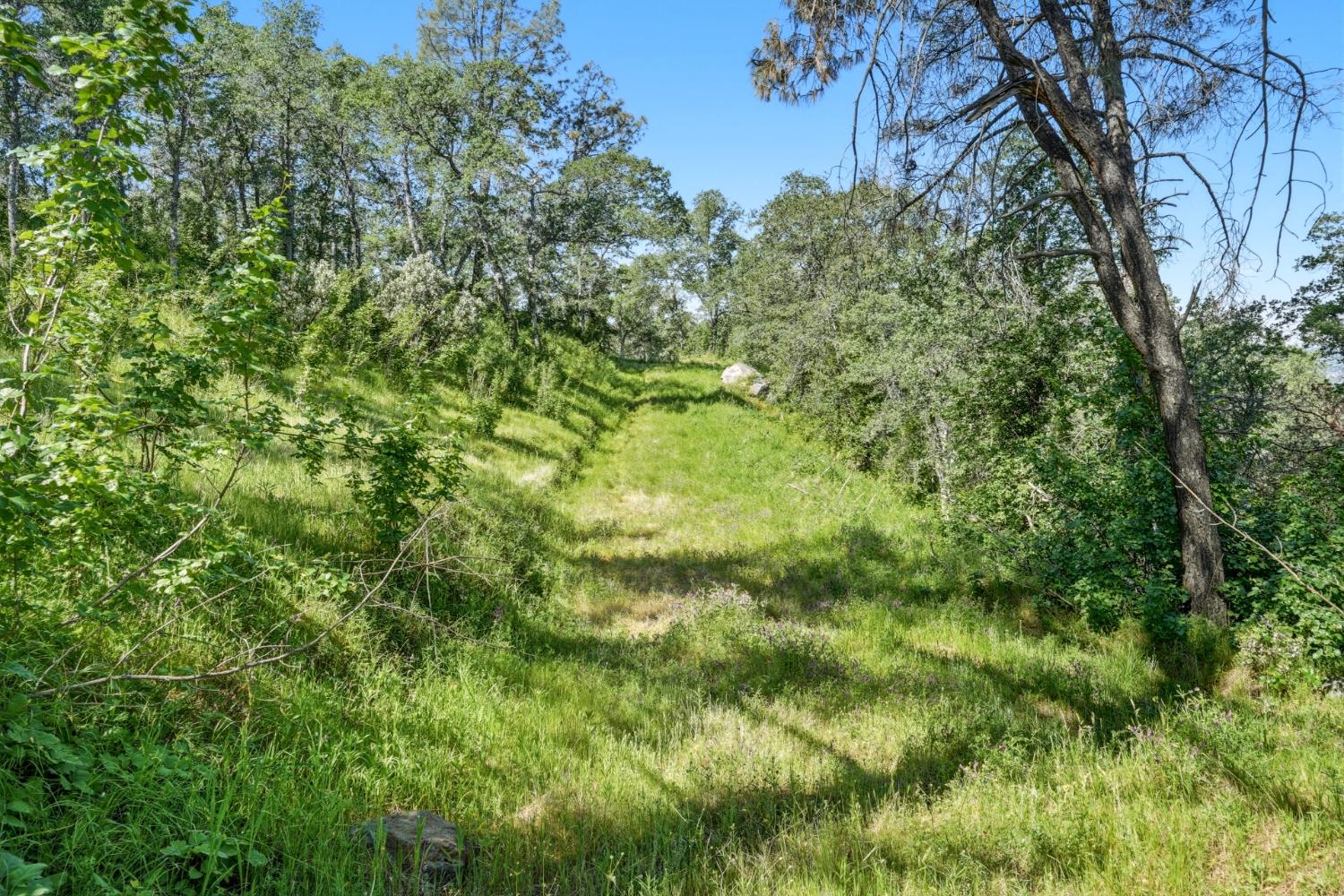 38 City View Dr, Coarsegold, CA 93614