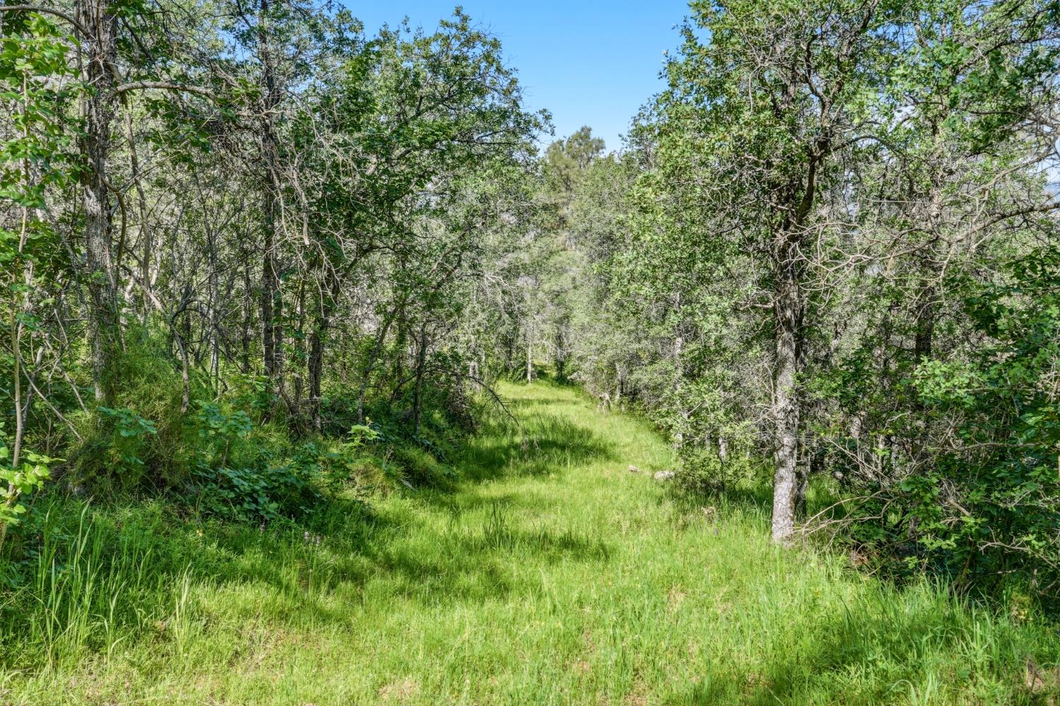 38 City View Dr, Coarsegold, CA 93614