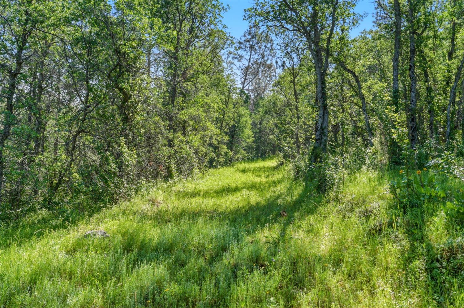 38 City View Dr, Coarsegold, CA 93614