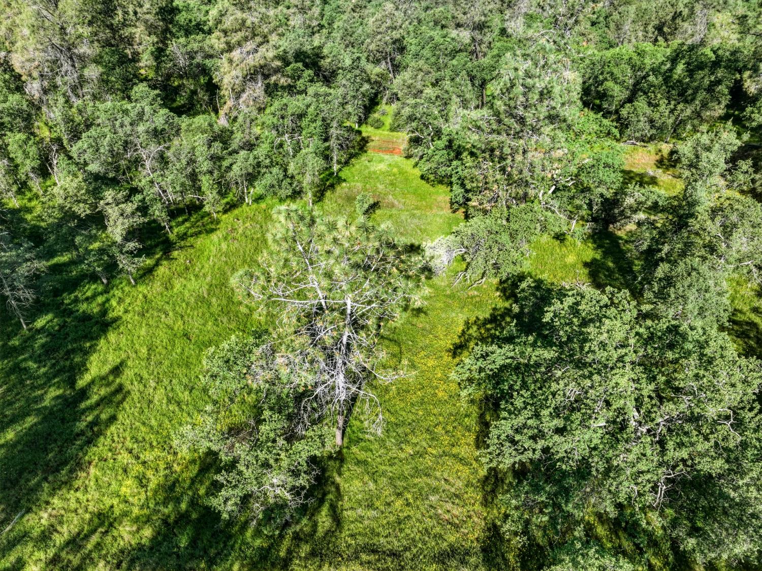 38 City View Dr, Coarsegold, CA 93614