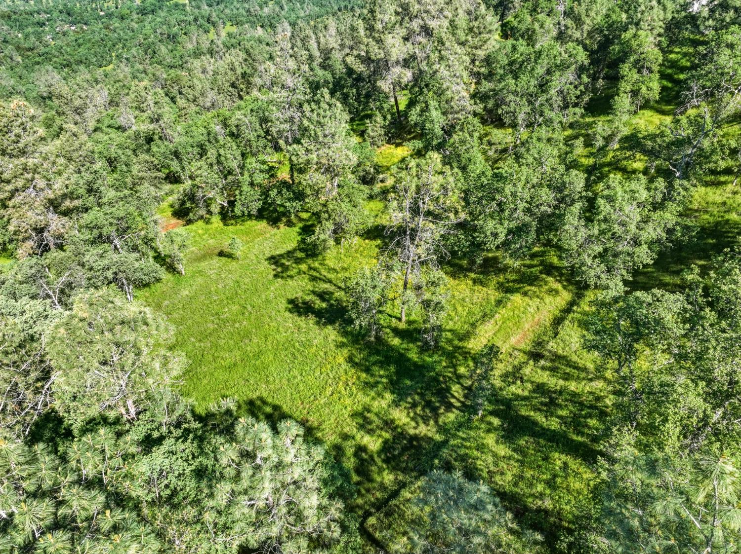 38 City View Dr, Coarsegold, CA 93614