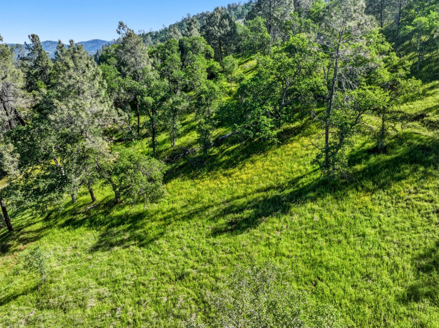 38 City View Dr, Coarsegold, CA 93614