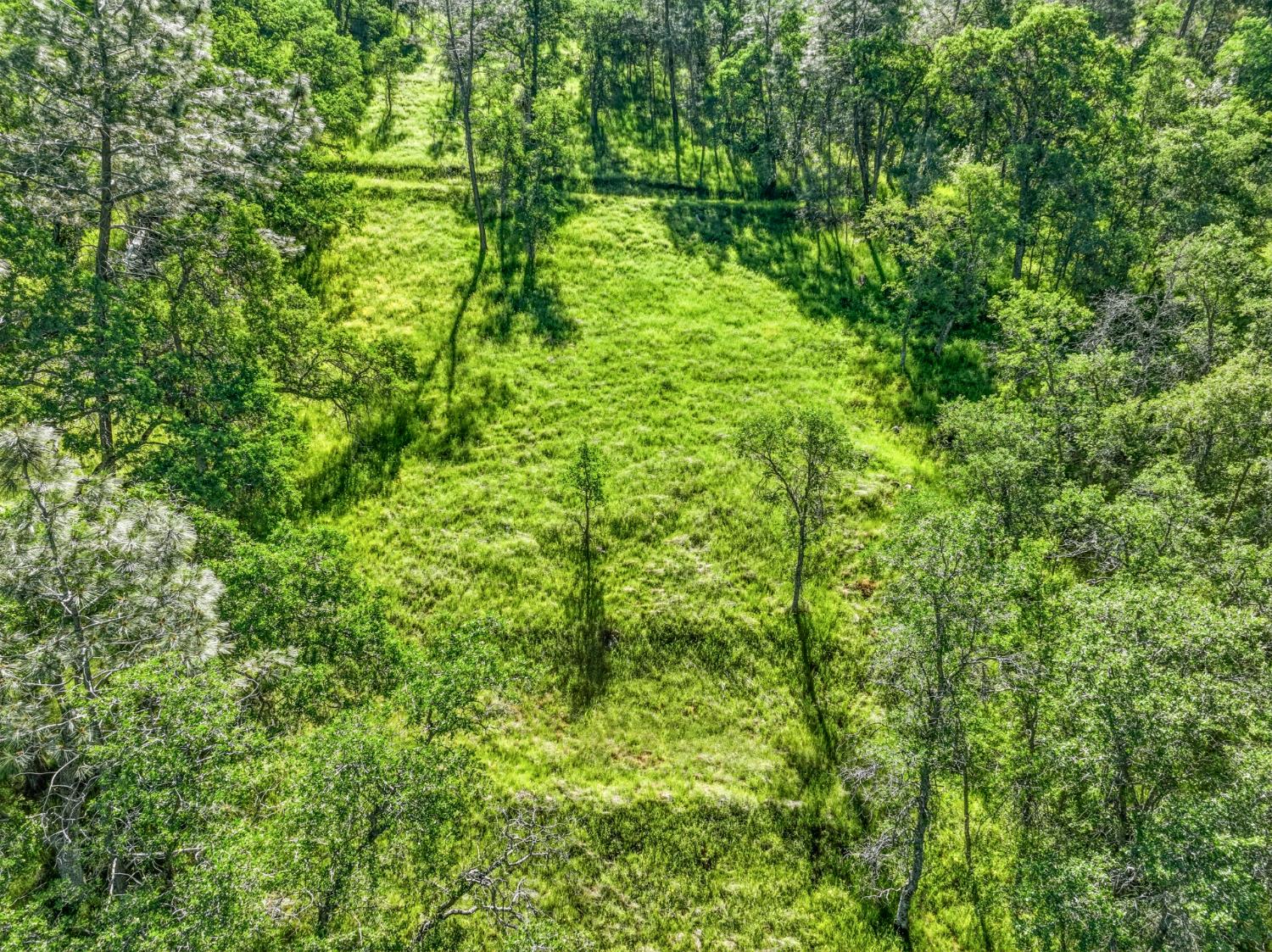 38 City View Dr, Coarsegold, CA 93614