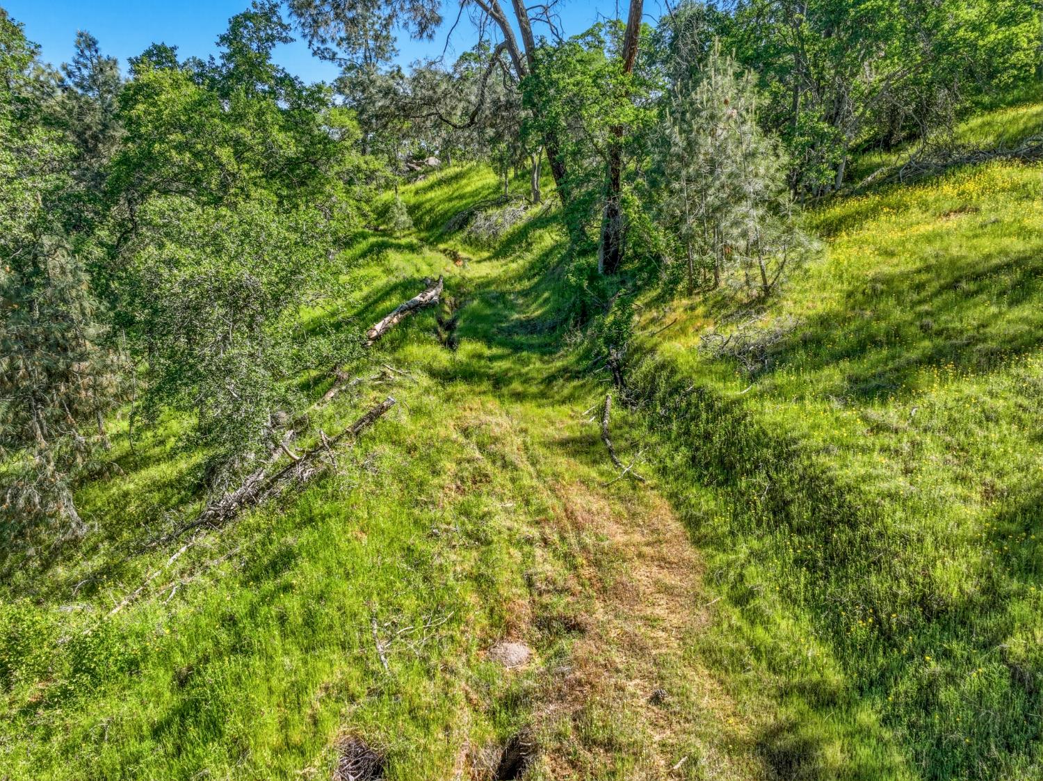 38 City View Dr, Coarsegold, CA 93614