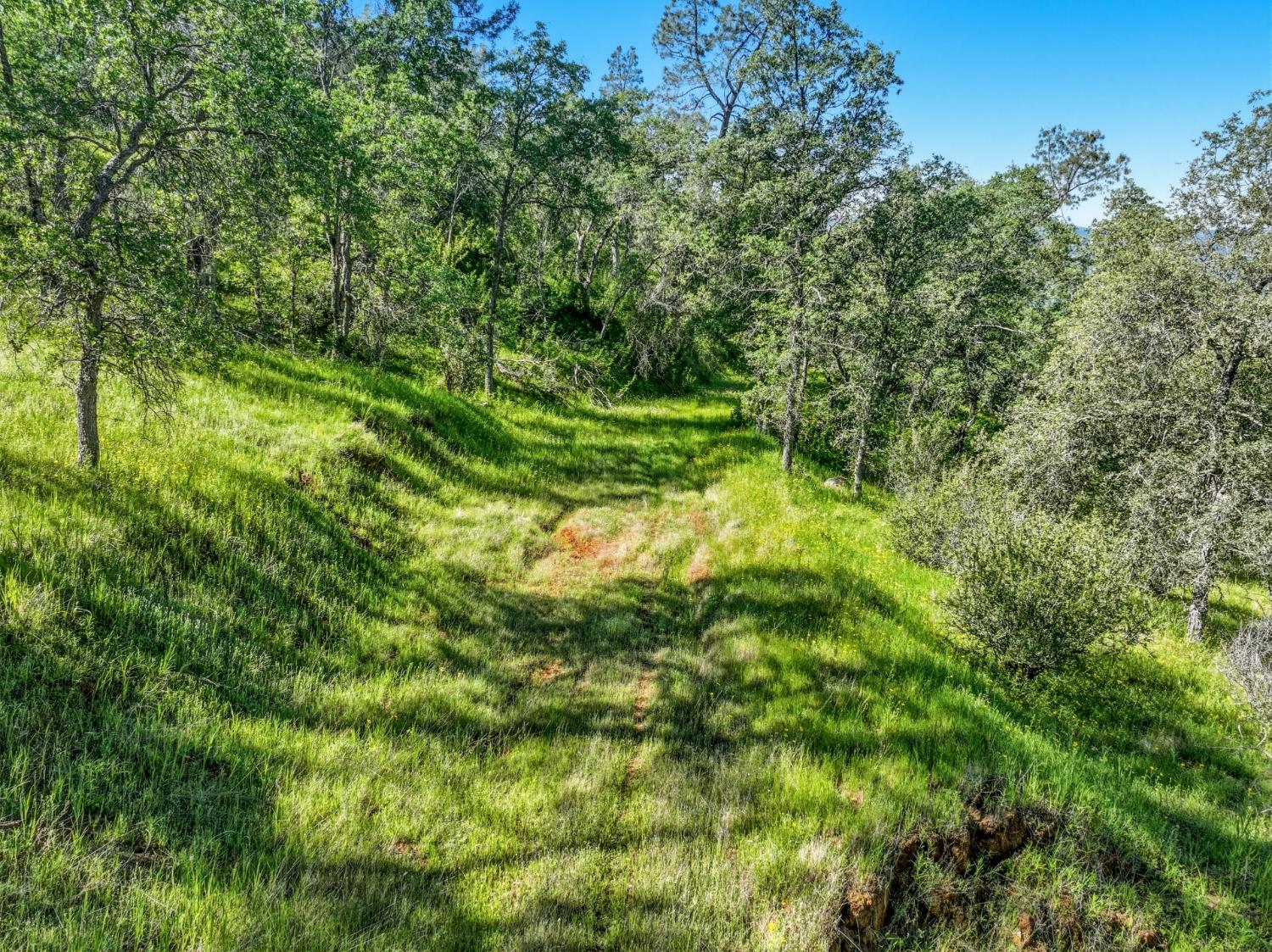 38 City View Dr, Coarsegold, CA 93614