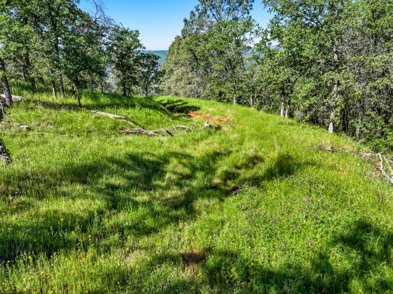 38 City View Dr, Coarsegold, CA 93614