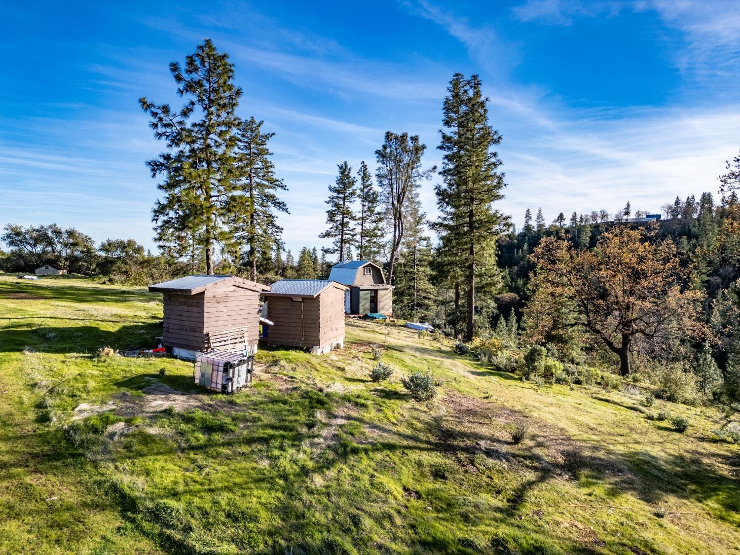 5314 Wilderness View Dr, Mariposa, CA 95338