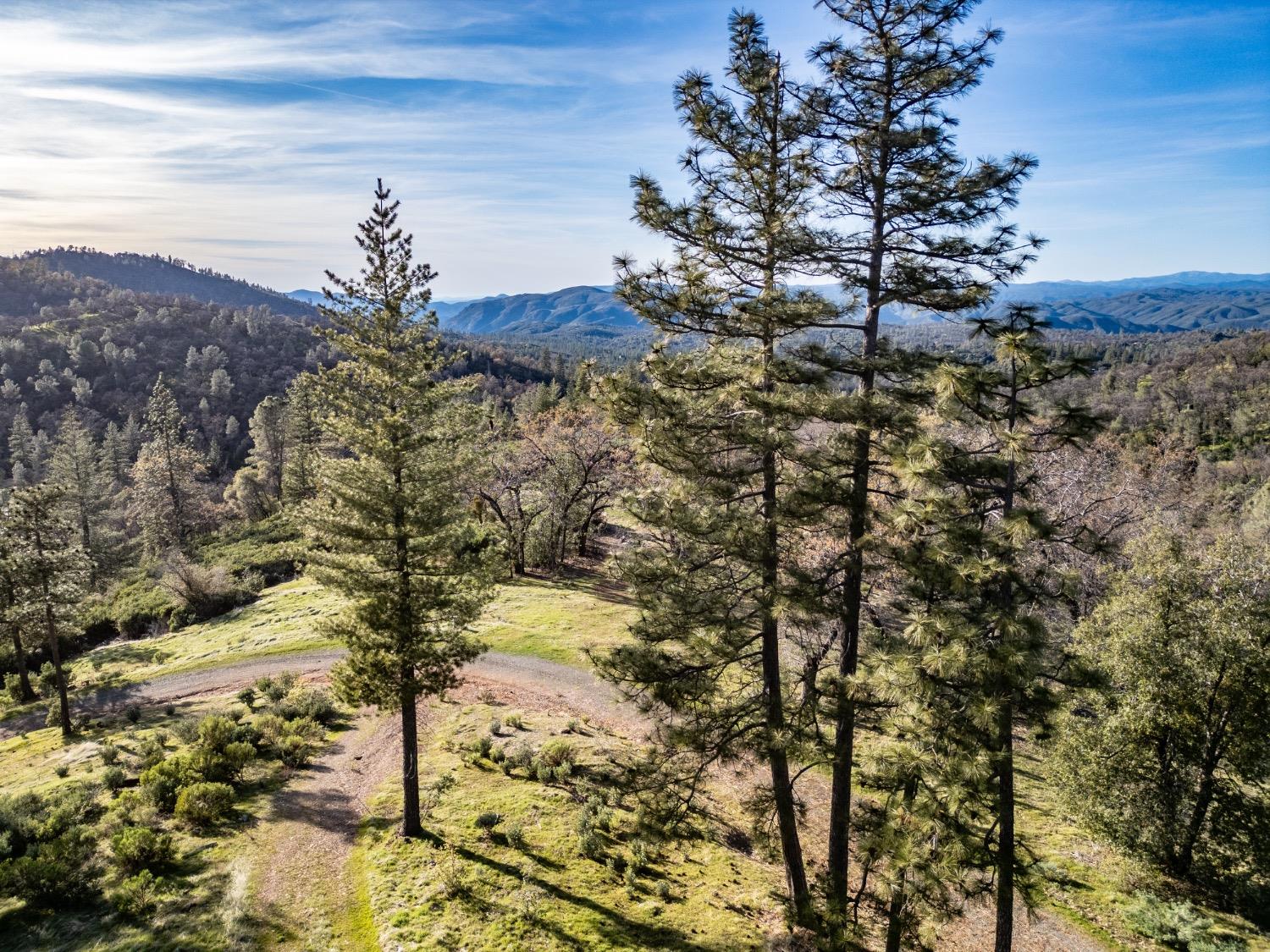 5314 Wilderness View Dr, Mariposa, CA 95338