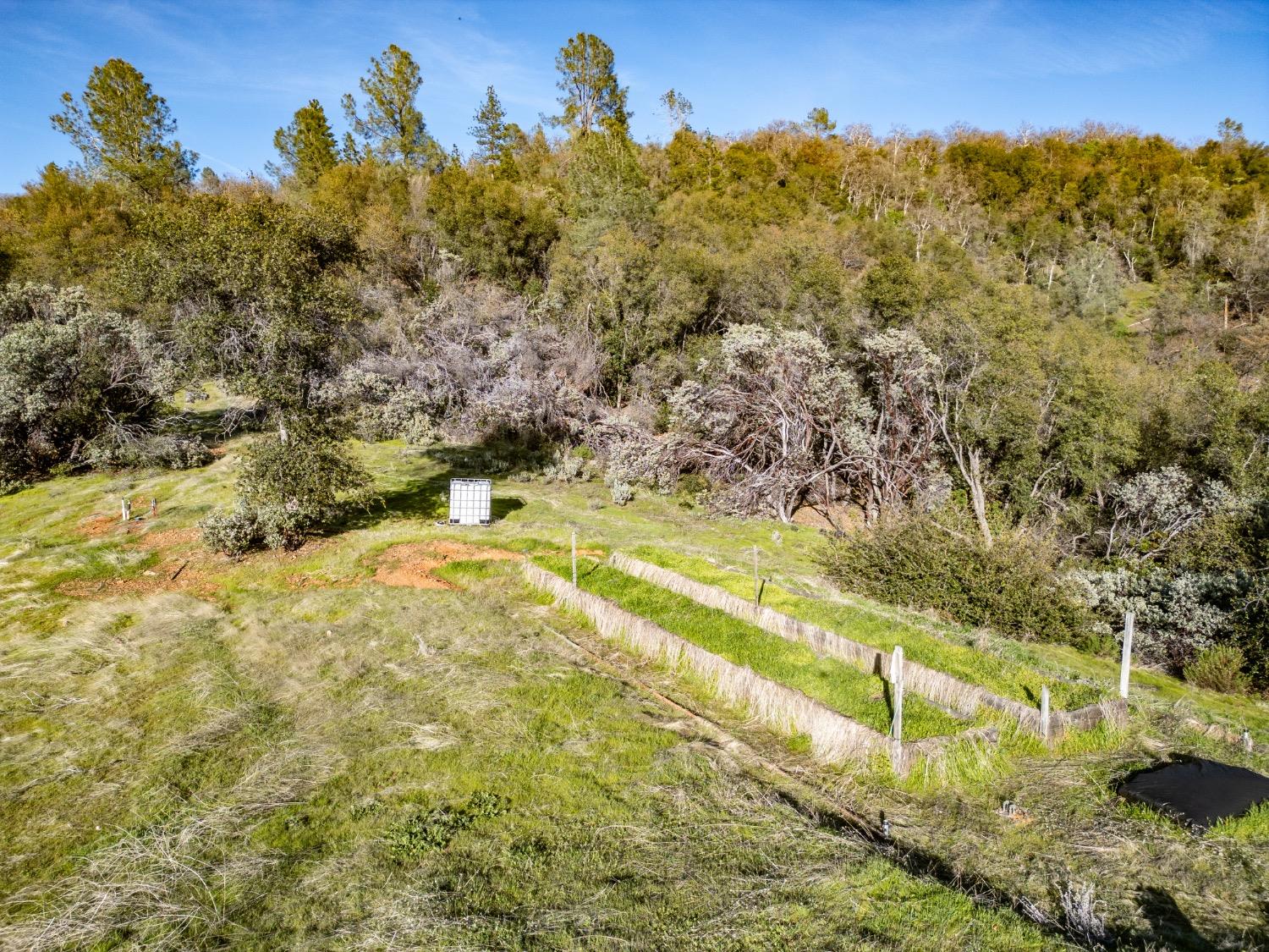 5314 Wilderness View Dr, Mariposa, CA 95338