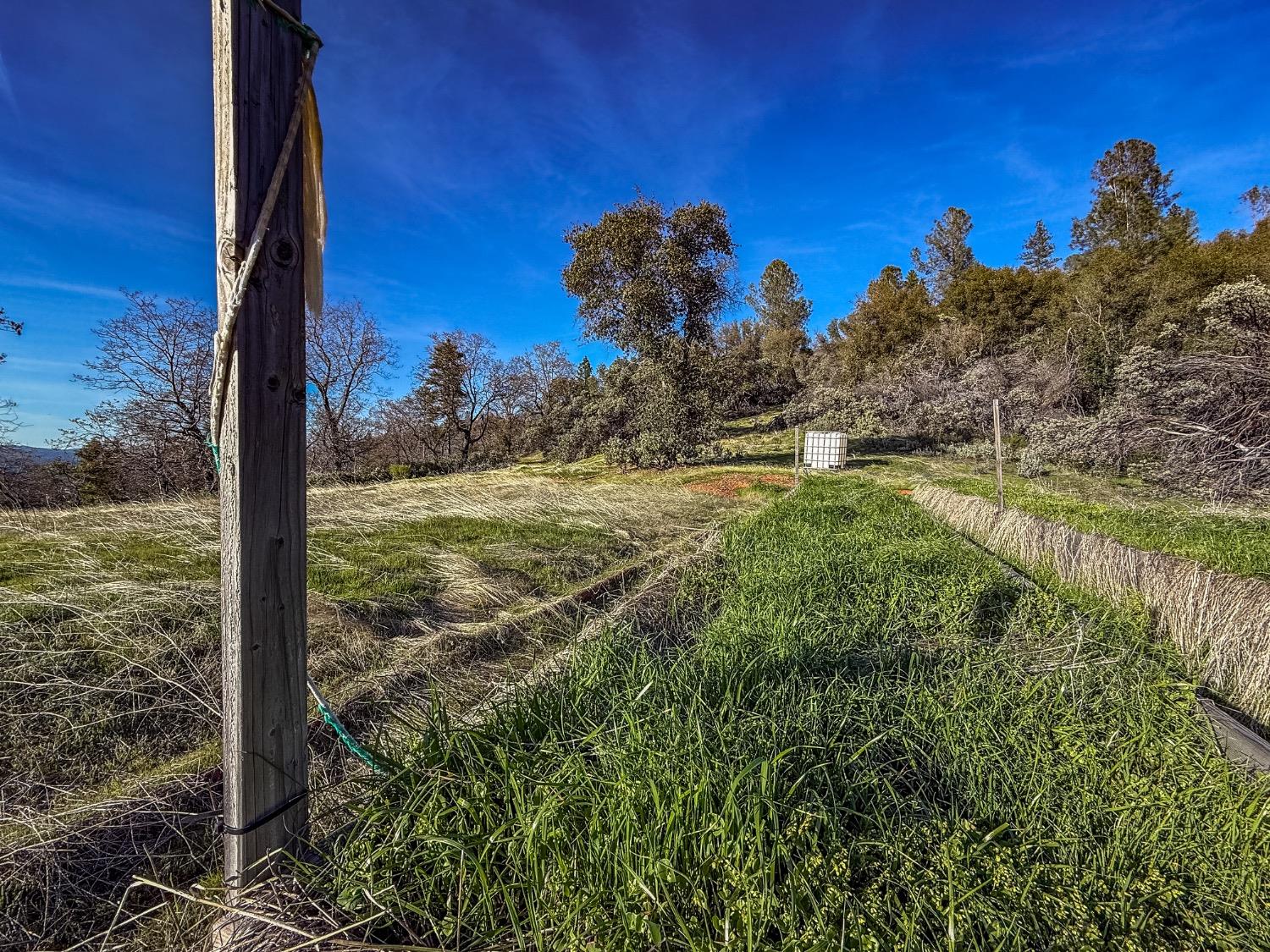 5314 Wilderness View Dr, Mariposa, CA 95338
