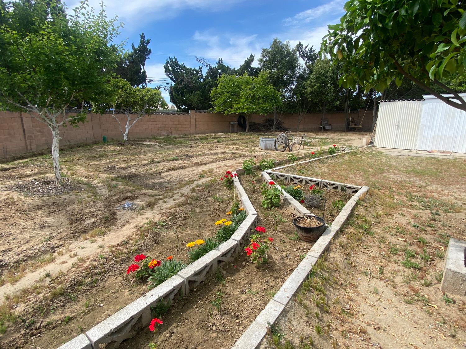 1300 W Olson Ave #126, Reedley, CA 93654