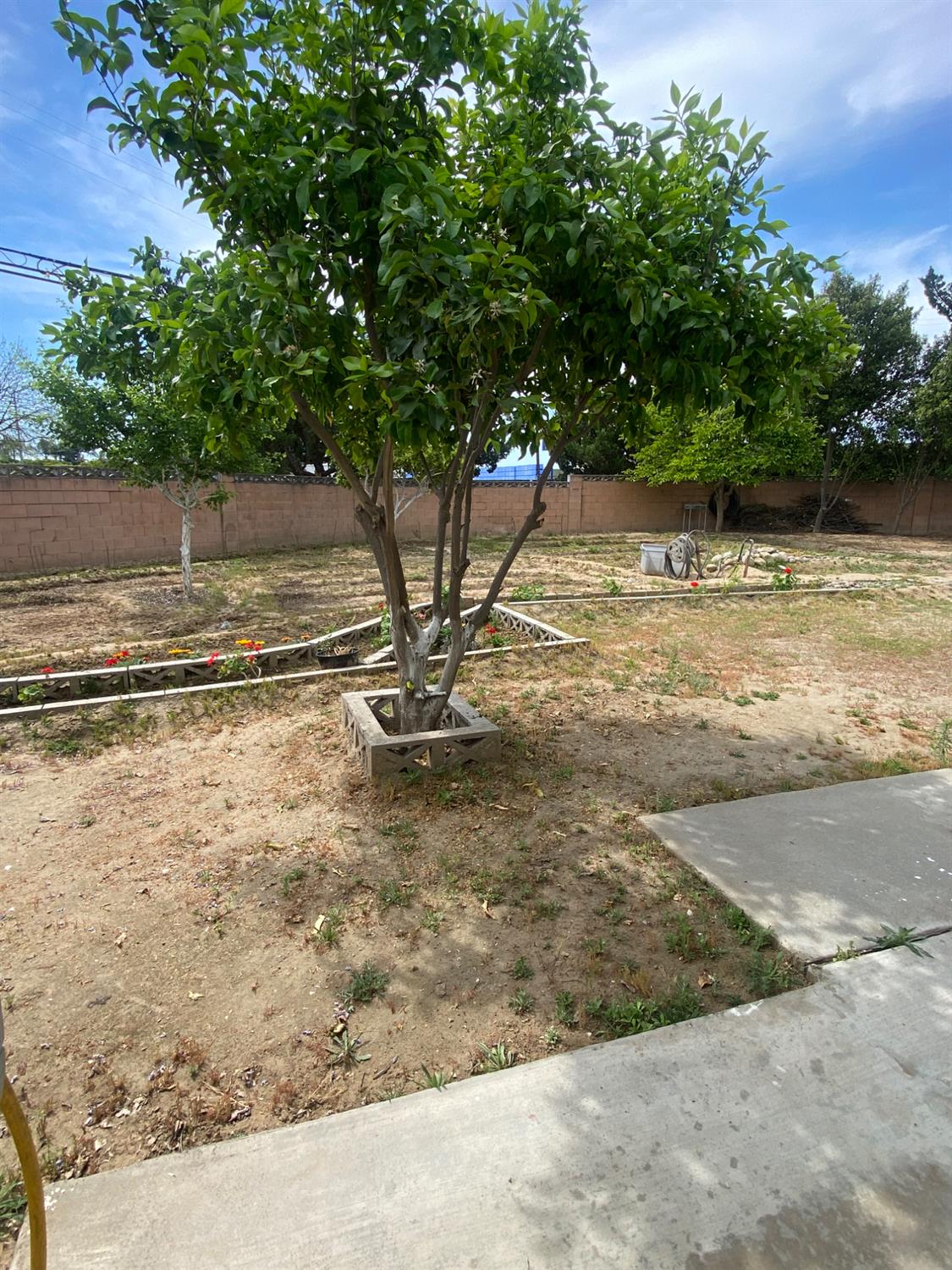 1300 W Olson Ave #126, Reedley, CA 93654