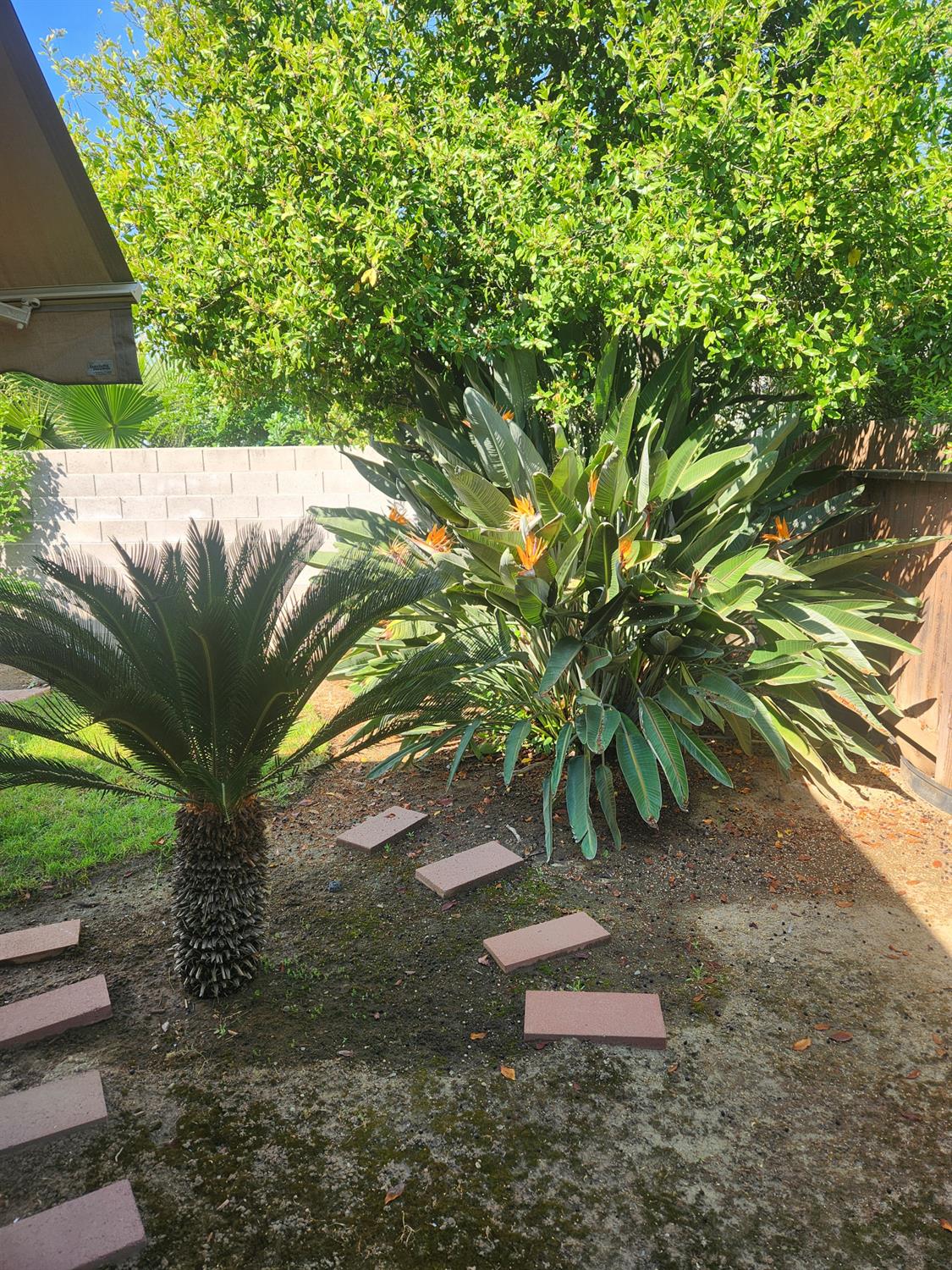 2684 Armstrong Ave, Clovis, CA 93611