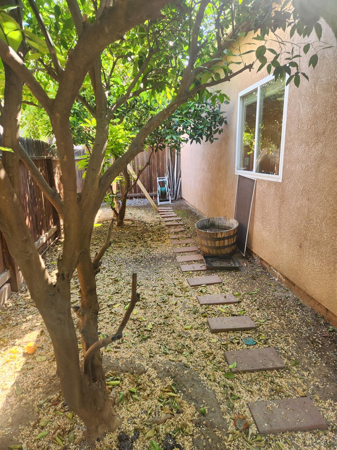 2684 Armstrong Ave, Clovis, CA 93611