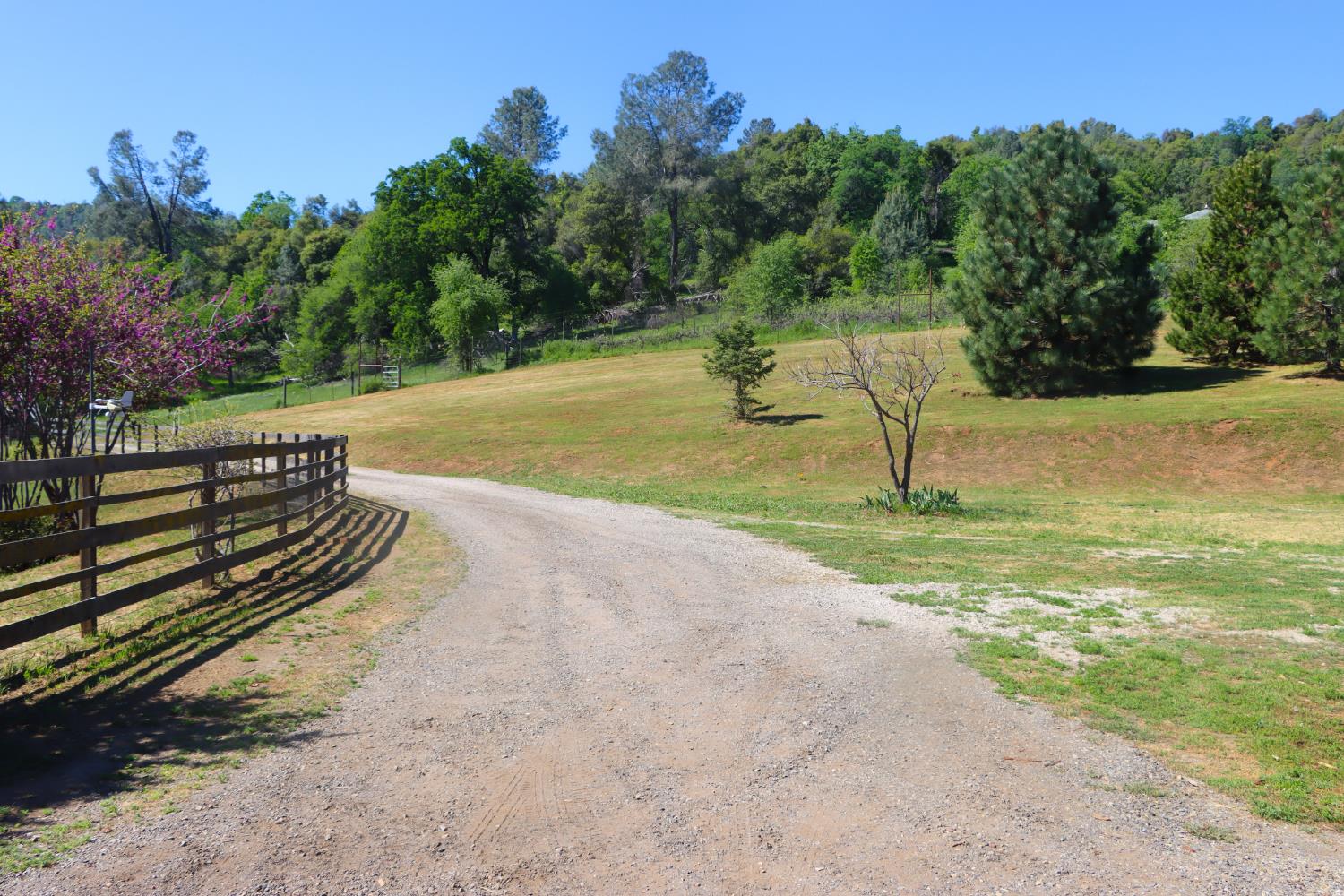 4780 Morningstar Ln, Mariposa, CA 95338