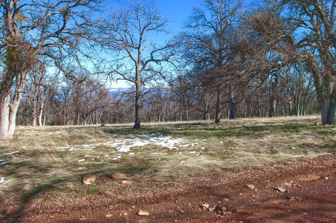 6894 State Highway 49 N, Mariposa, CA 95338