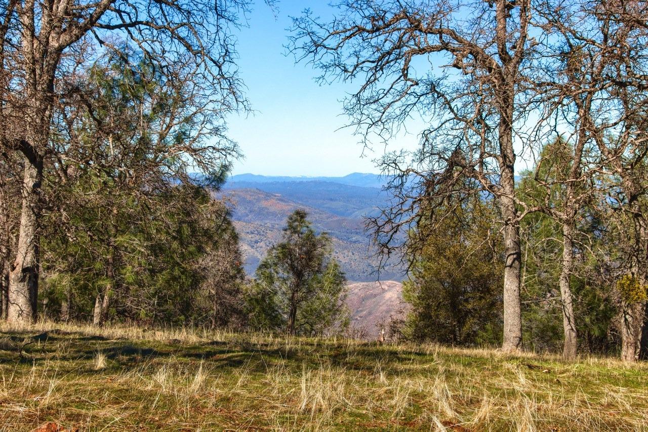 6894 State Highway 49 N, Mariposa, CA 95338