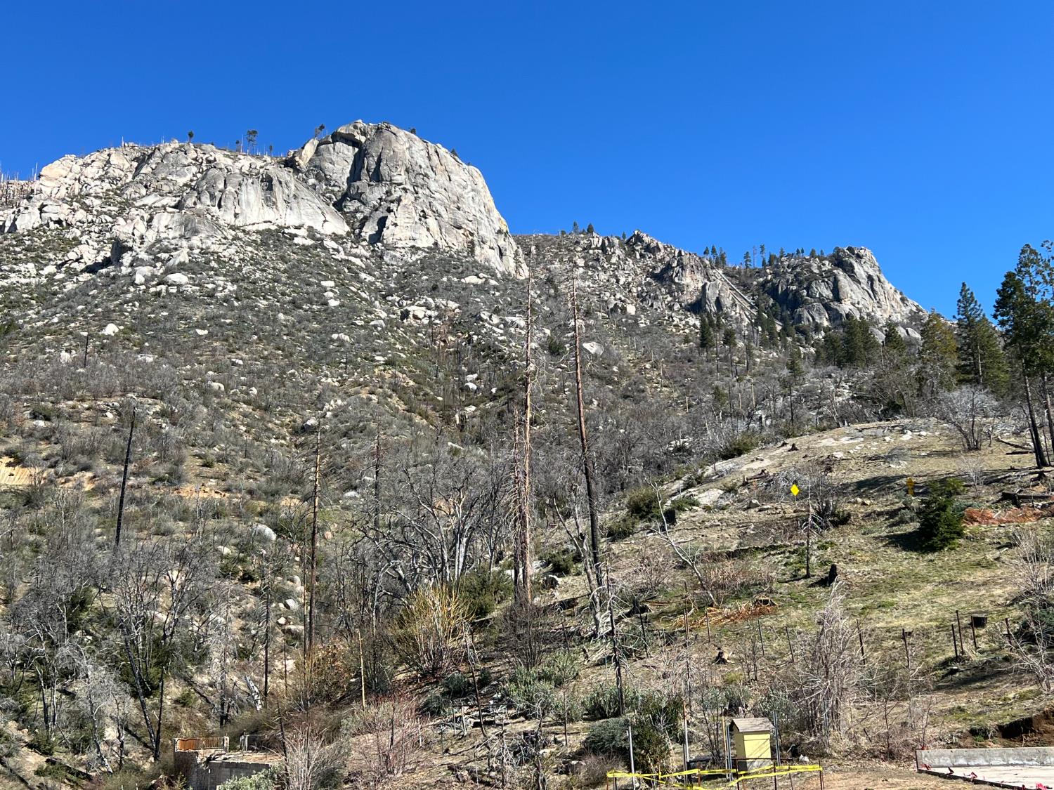 55161 Jungletown Ln, Big Creek, CA 93605