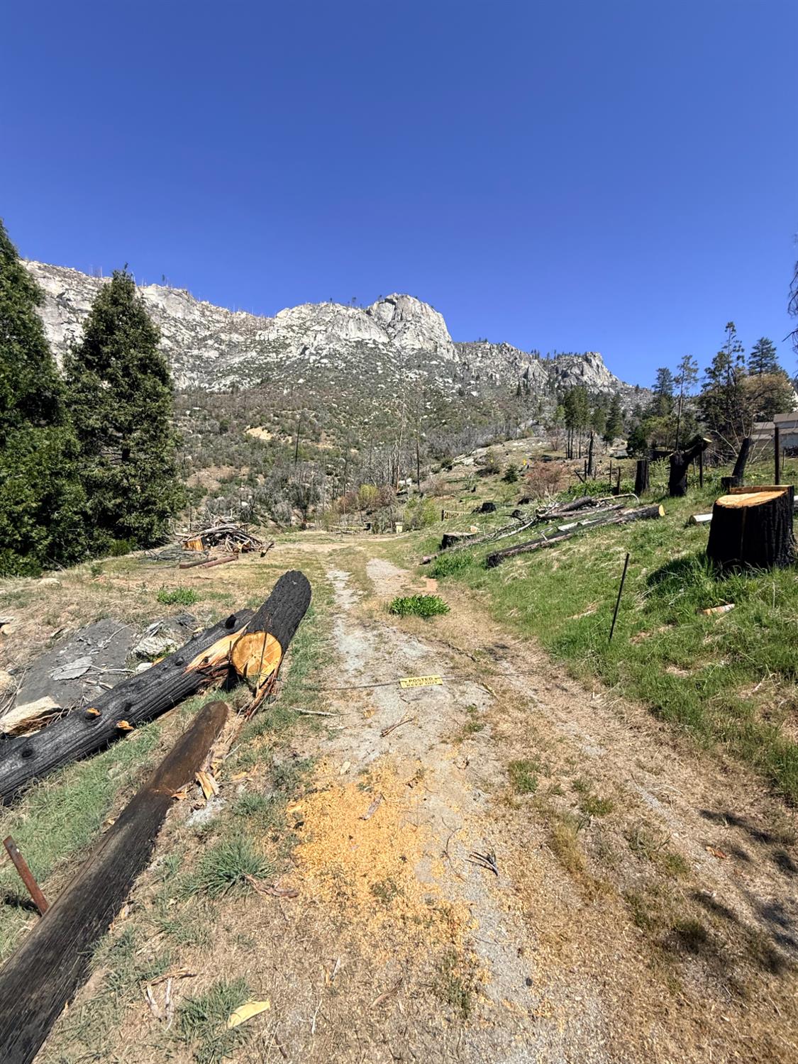55161 Jungletown Ln, Big Creek, CA 93605