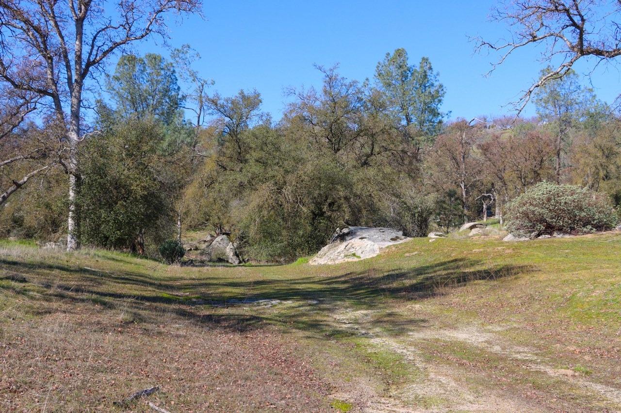 0 6.48 AC Long Hollow Dr, Coarsegold, CA 93614
